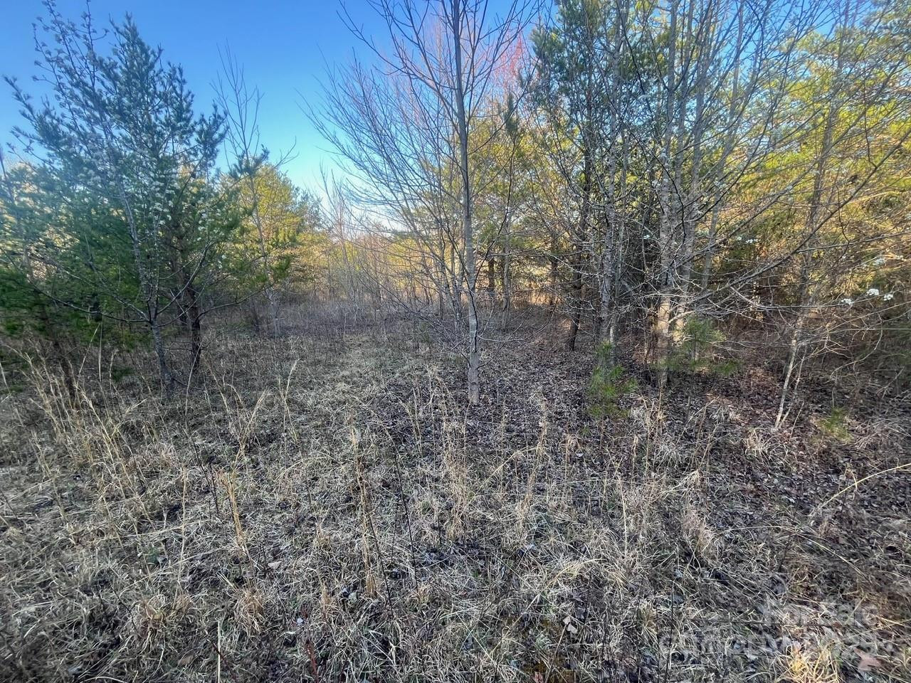 V/L Southern Way - Photo 17