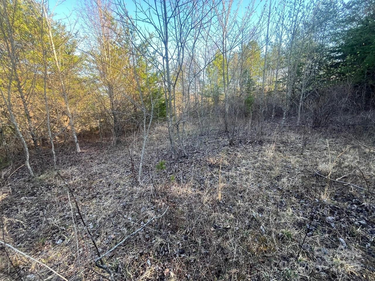 V/L Southern Way - Photo 18