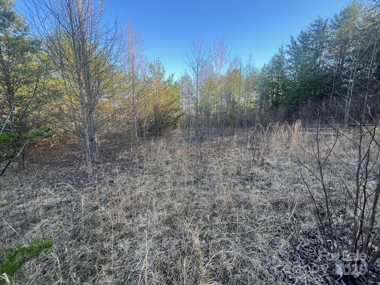 V/L Southern Way - Photo 19