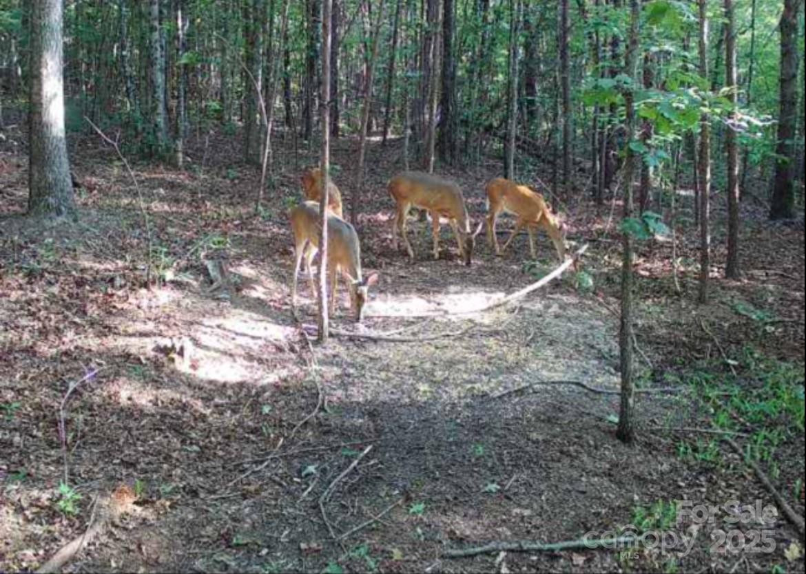 V/L Southern Way - Photo 3