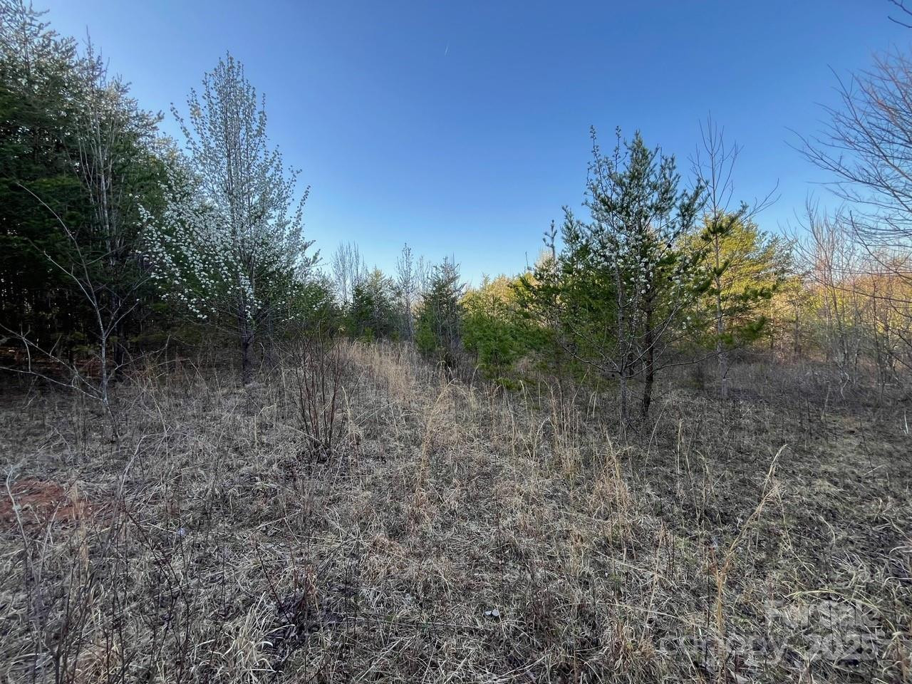 V/L Southern Way - Photo 21