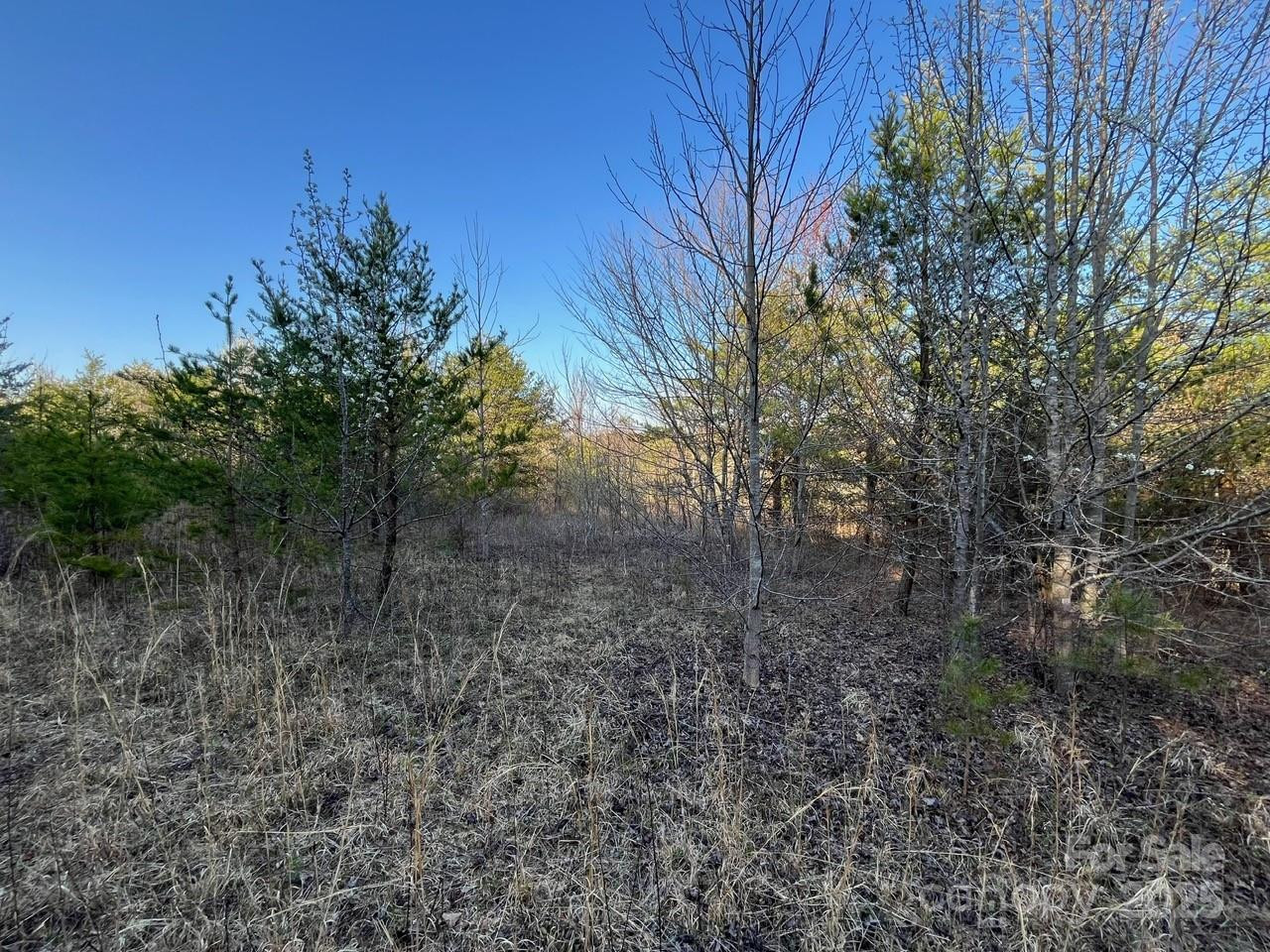 V/L Southern Way - Photo 22