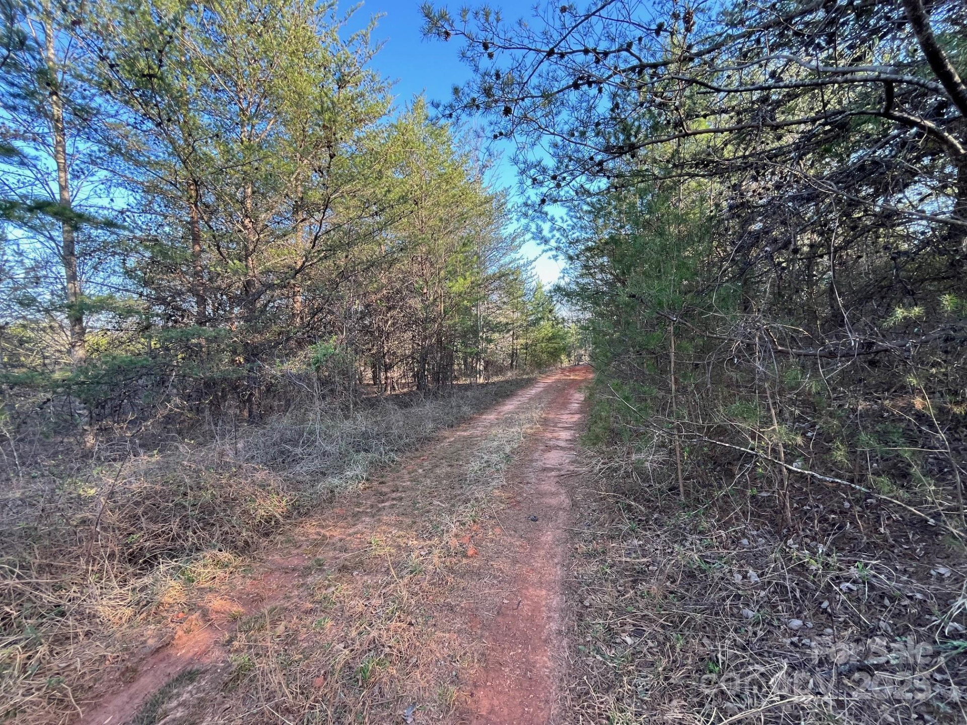 V/L Southern Way - Photo 23