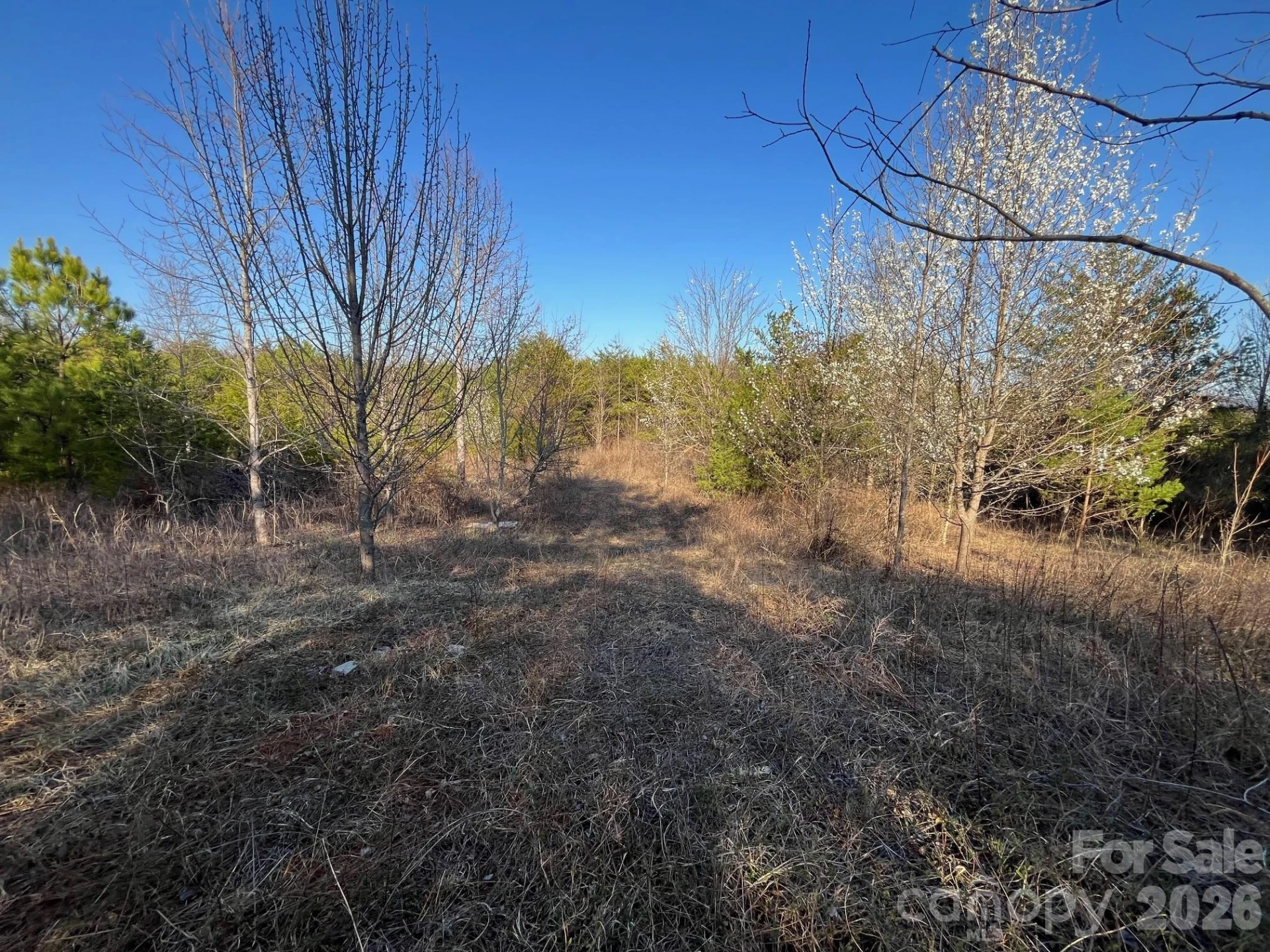V/L Southern Way - Photo 24