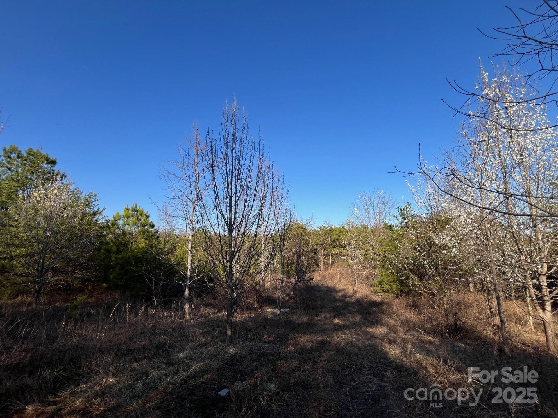 V/L Southern Way - Photo 26