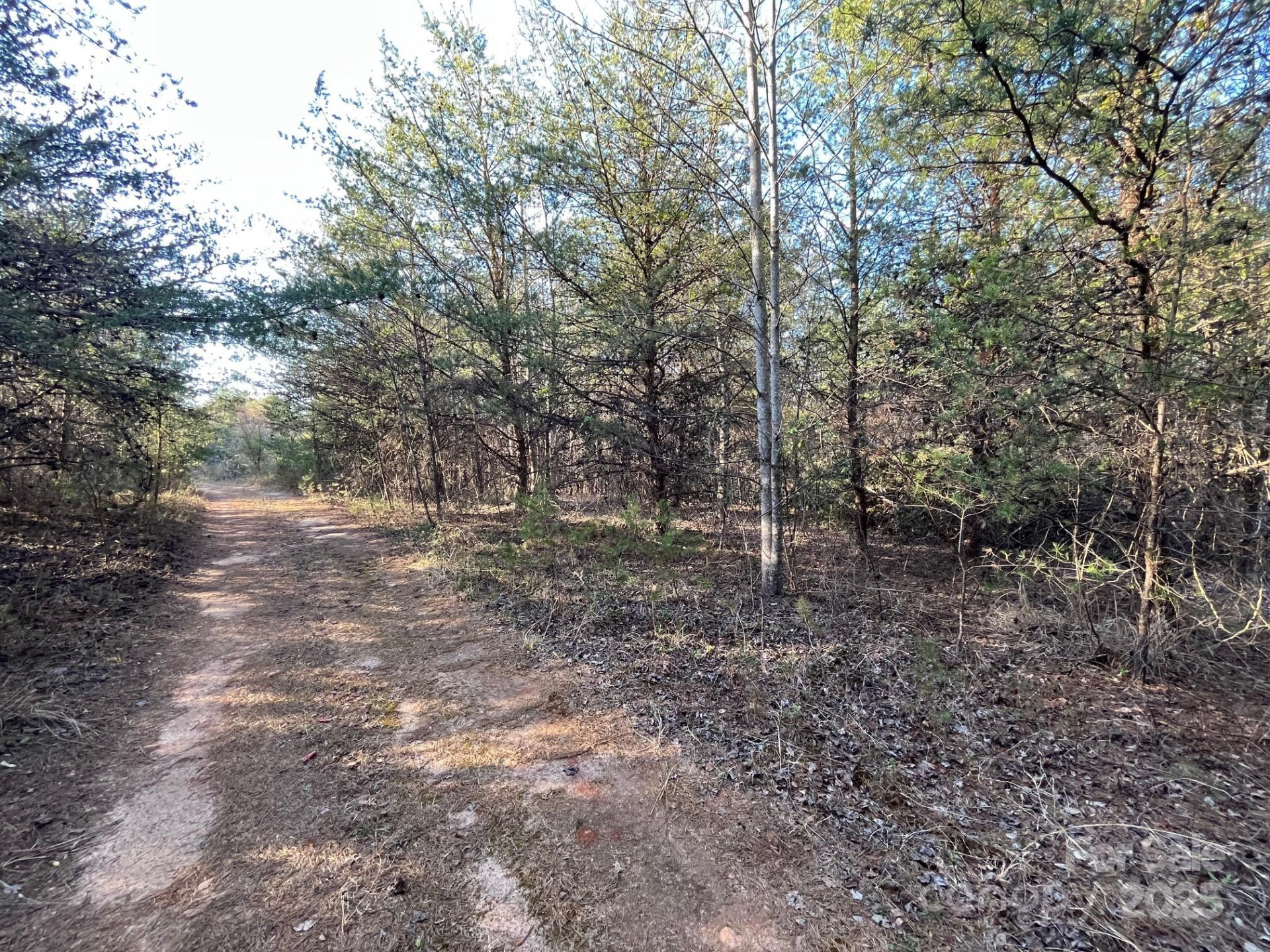 V/L Southern Way - Photo 29