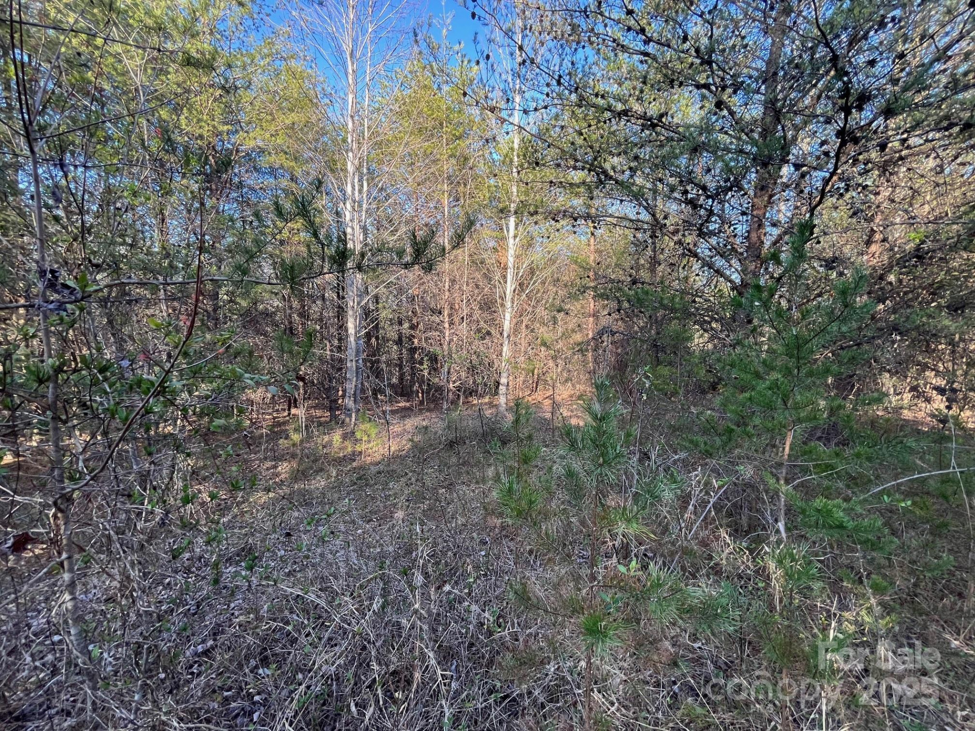 V/L Southern Way - Photo 30