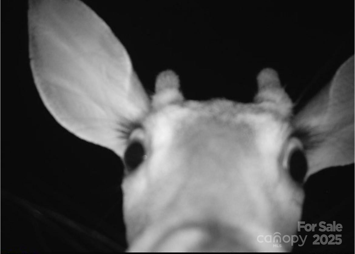 V/L Southern Way - Photo 4