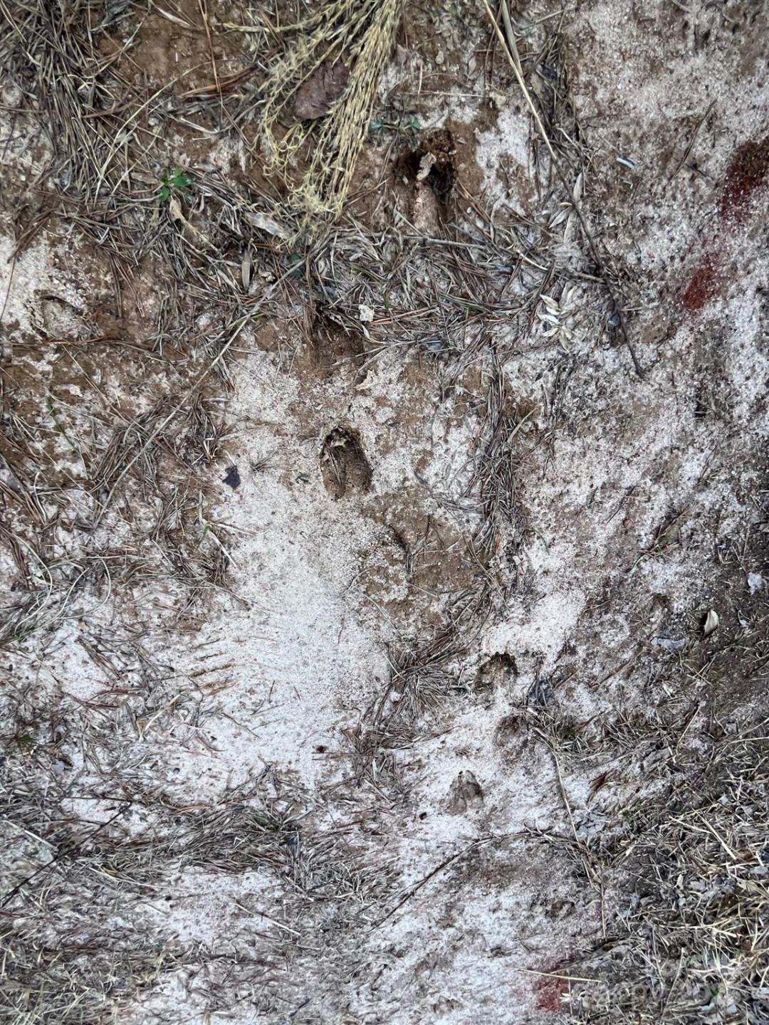 V/L Southern Way - Photo 31