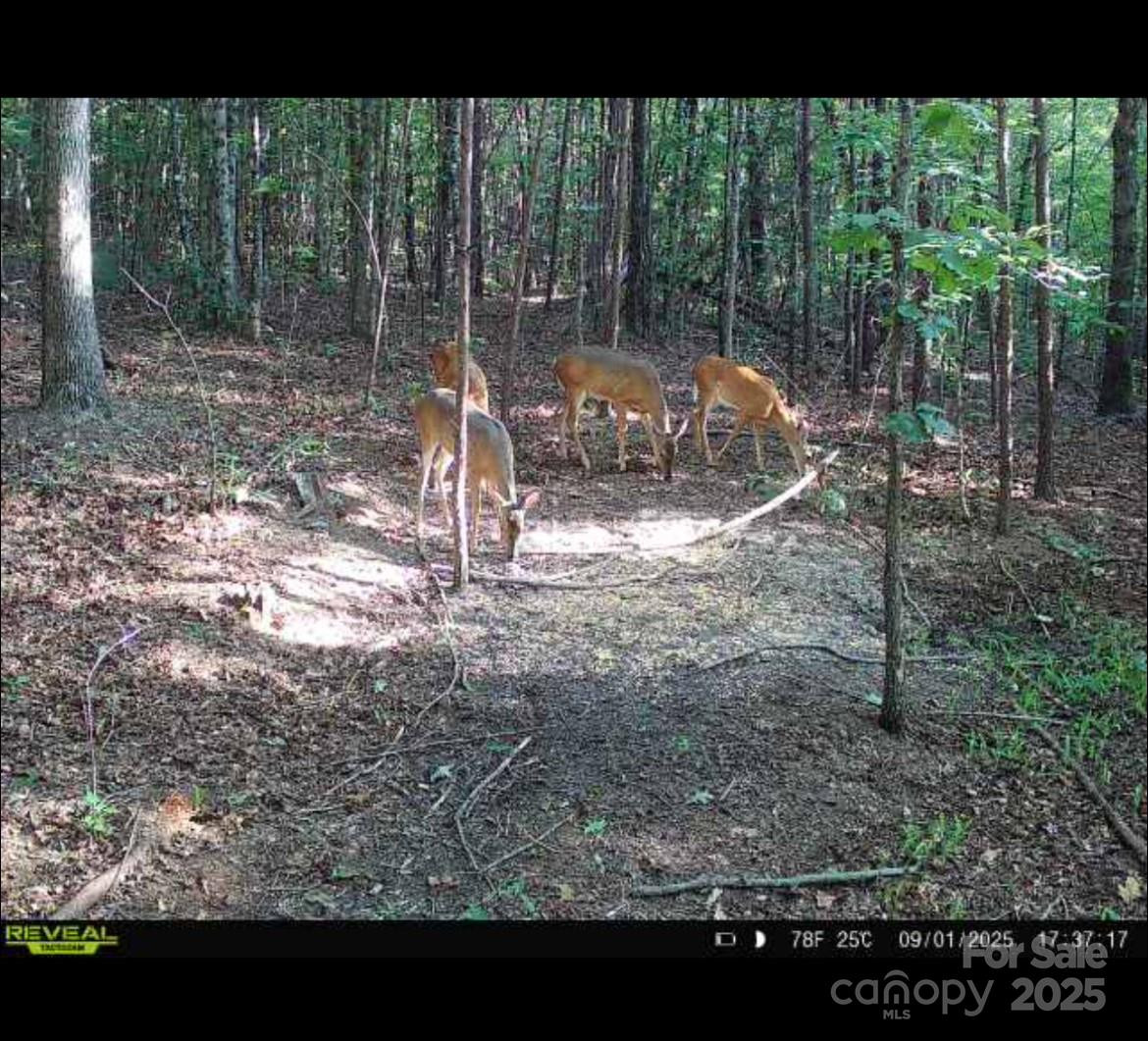 V/L Southern Way - Photo 5