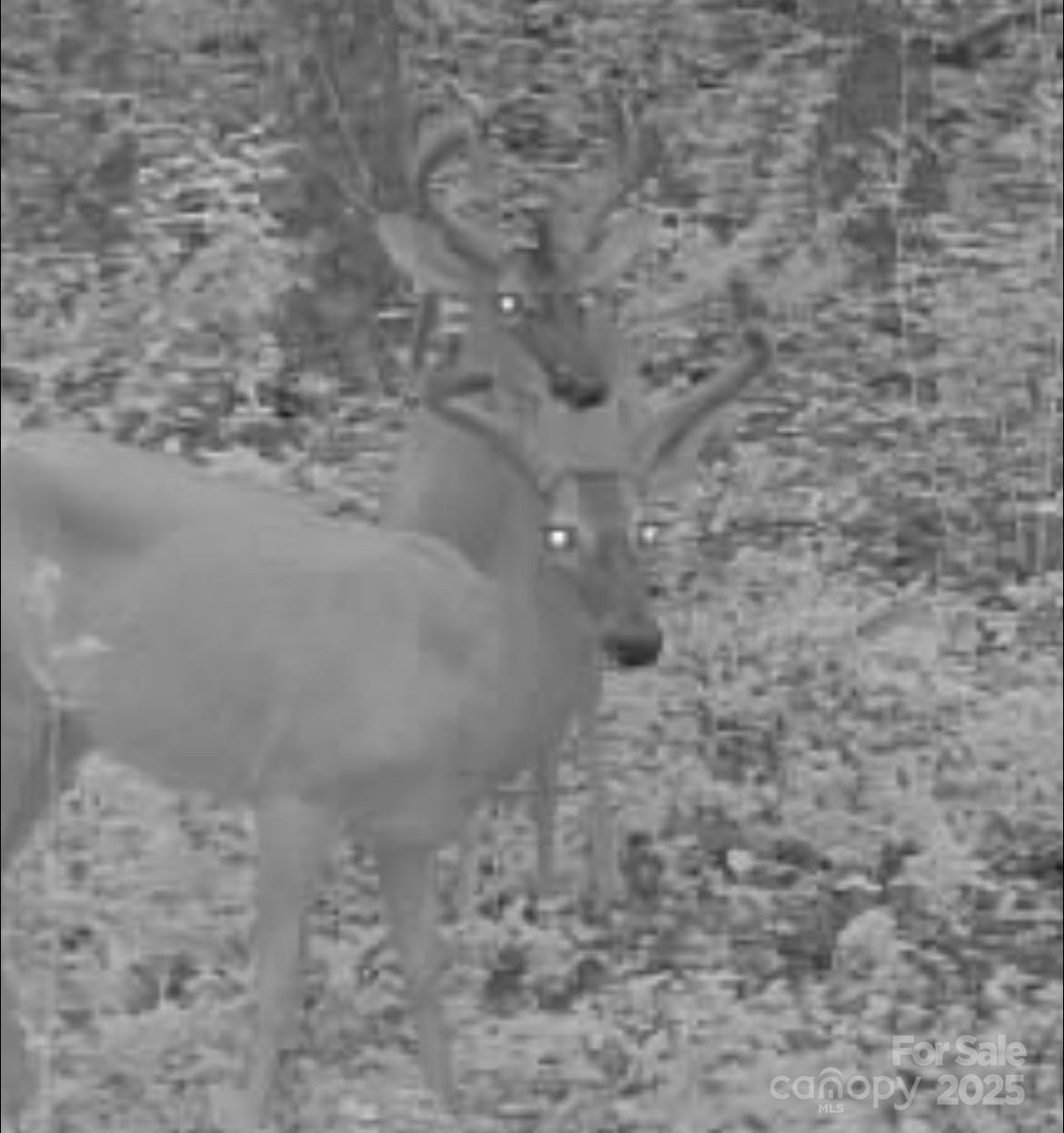 V/L Southern Way - Photo 6