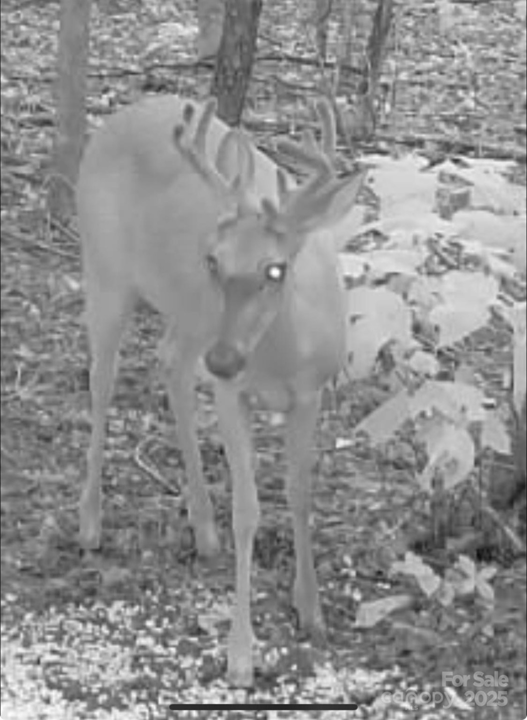 V/L Southern Way - Photo 7