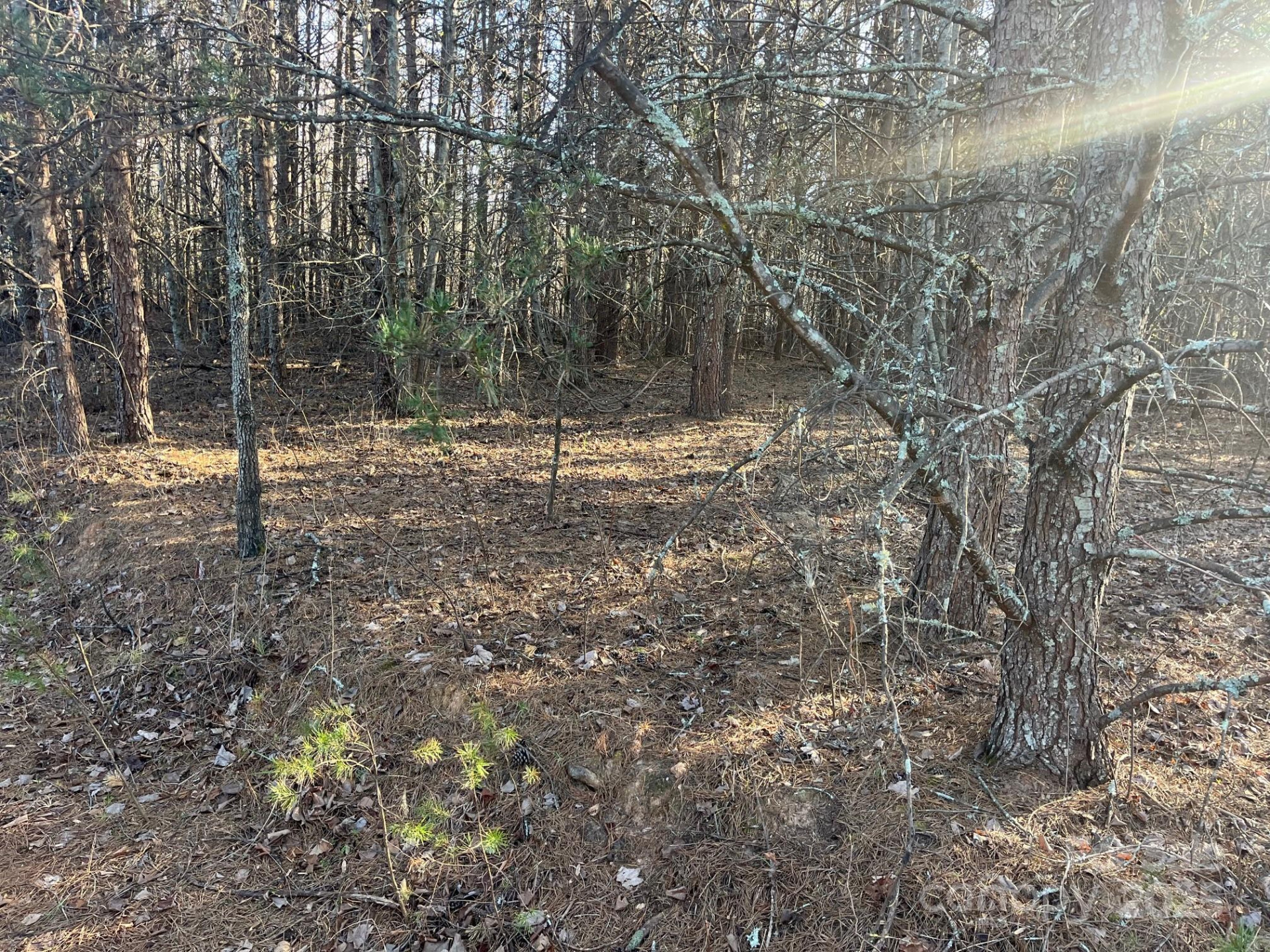 V/L Southern Way - Photo 9