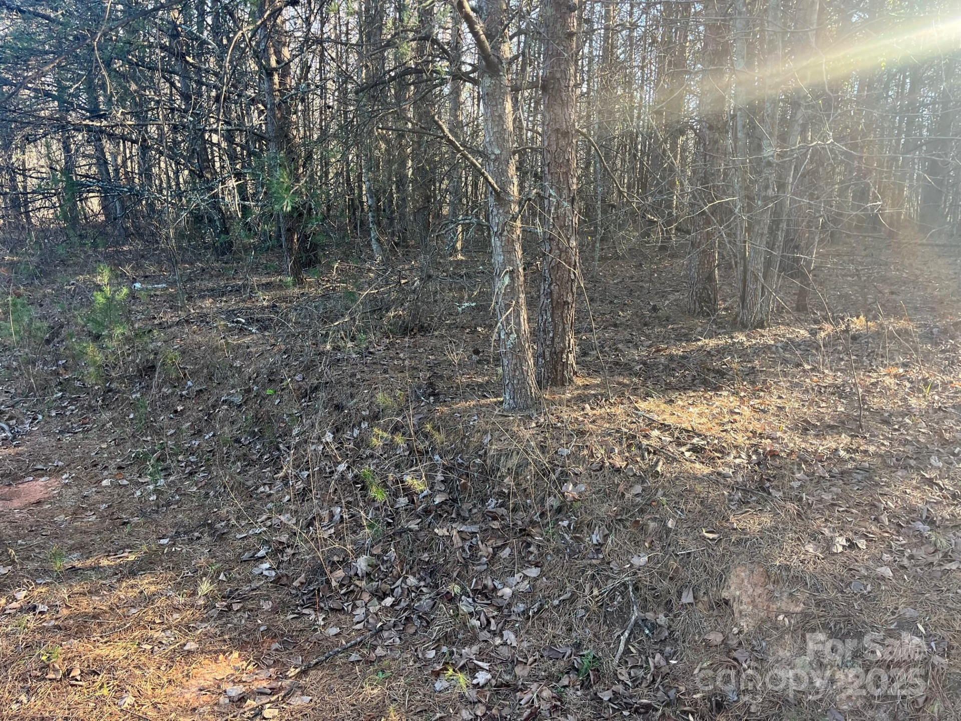 V/L Southern Way - Photo 10