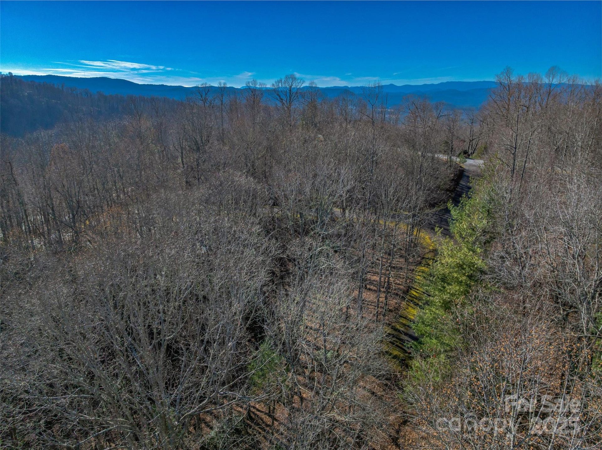 TBD Ladys Fern Trail #9 - Photo 12