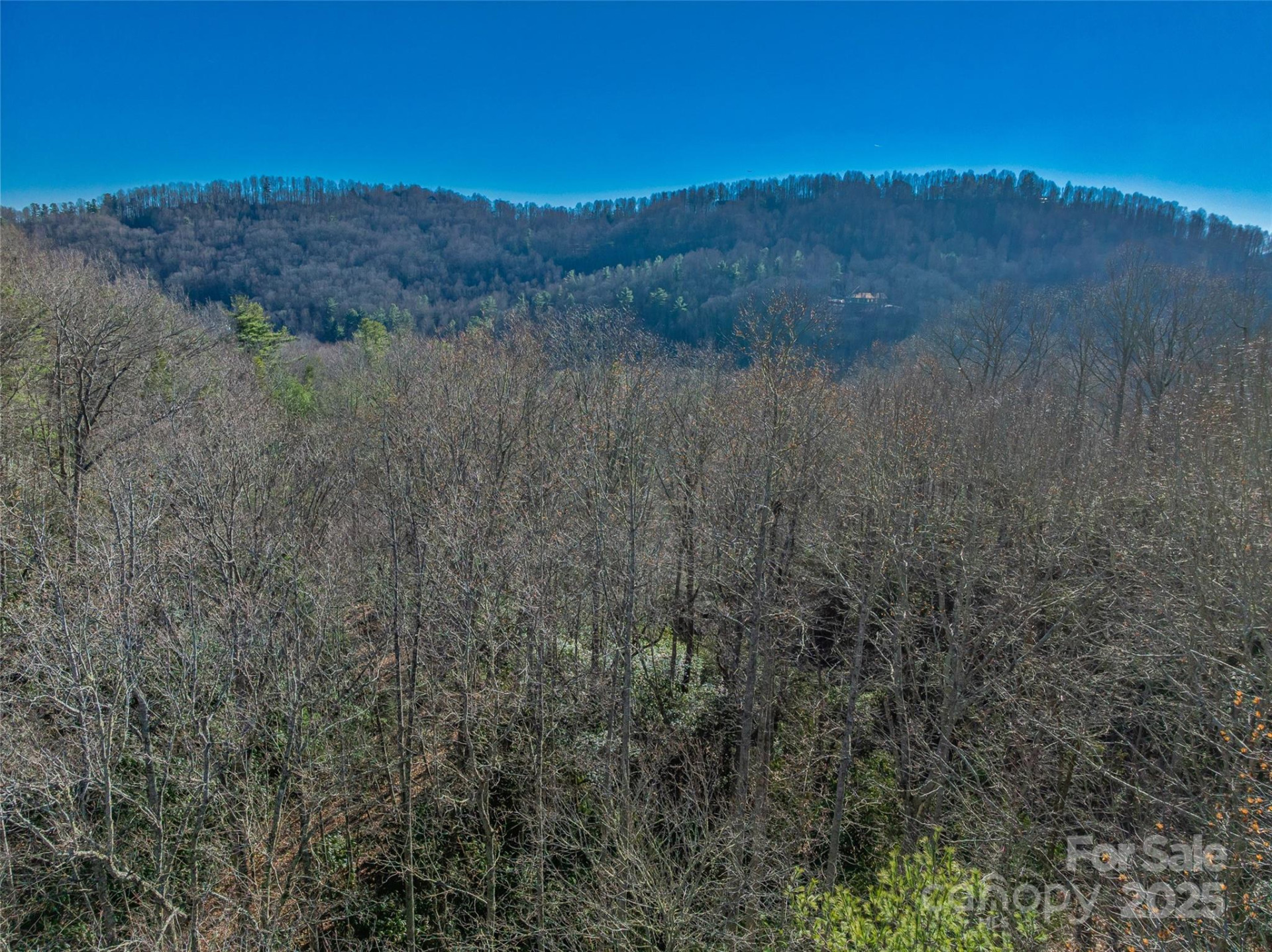 TBD Ladys Fern Trail #9 - Photo 13