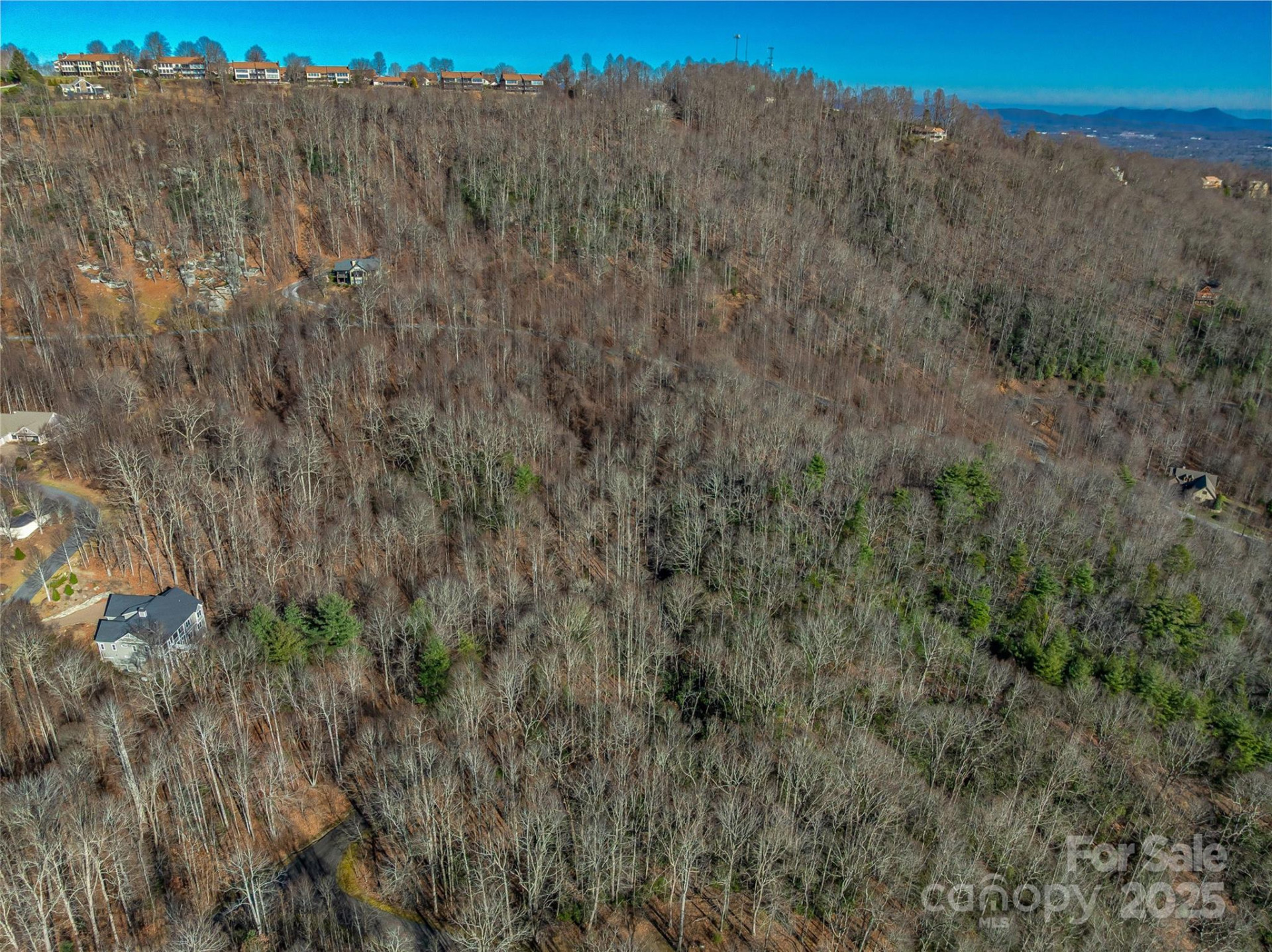 TBD Ladys Fern Trail #9 - Photo 16