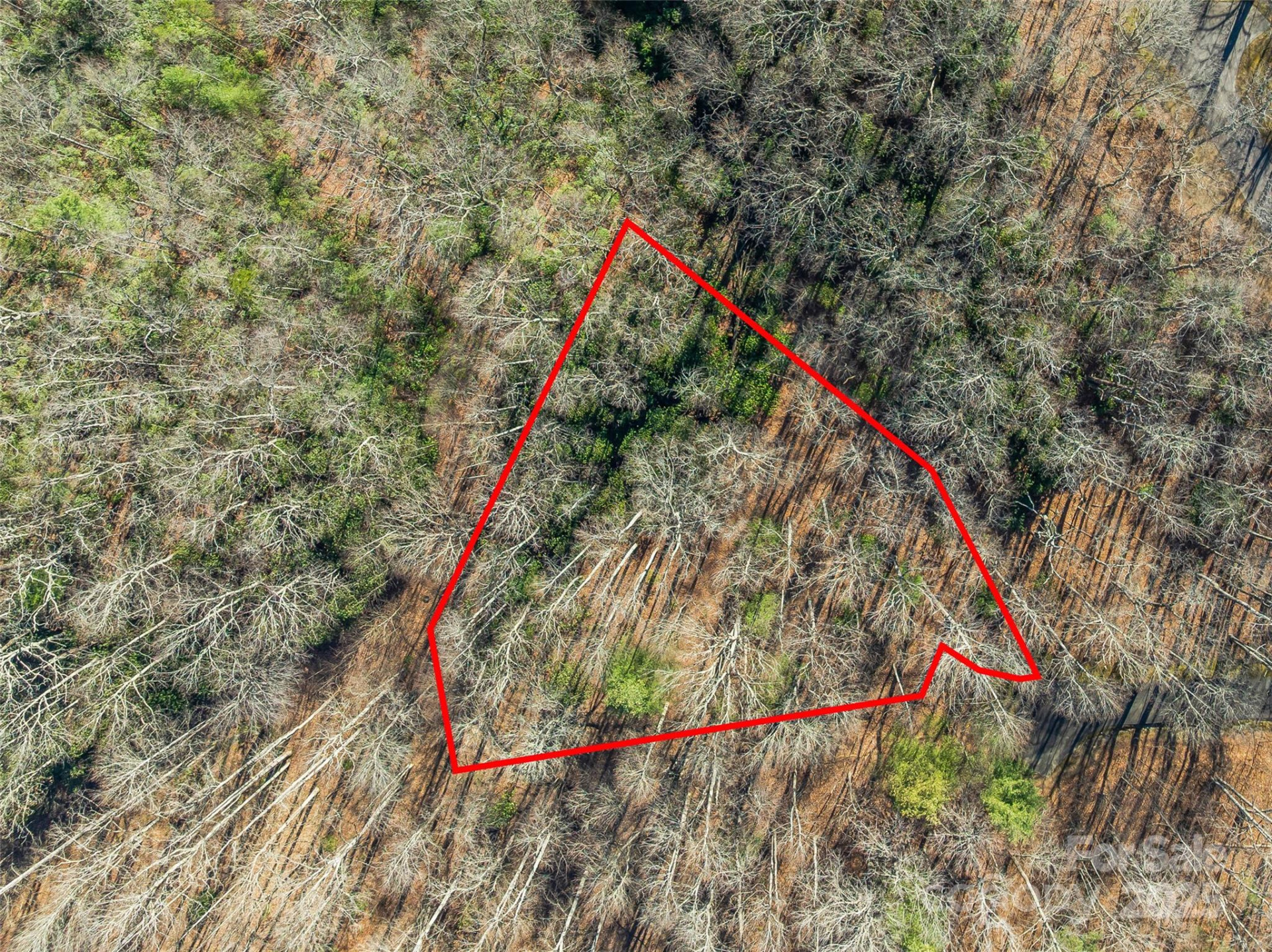 TBD Ladys Fern Trail #9 - Photo 3