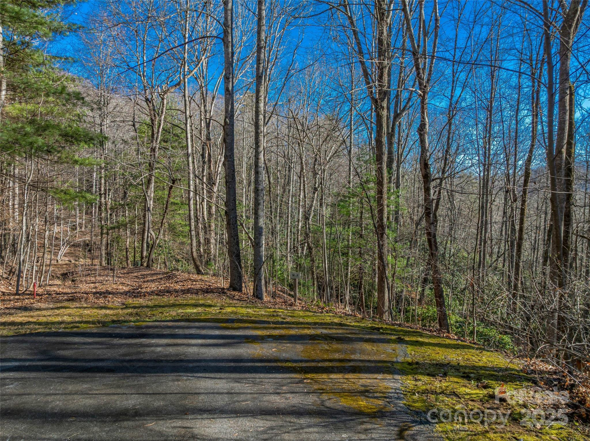 TBD Ladys Fern Trail #9 - Photo 6