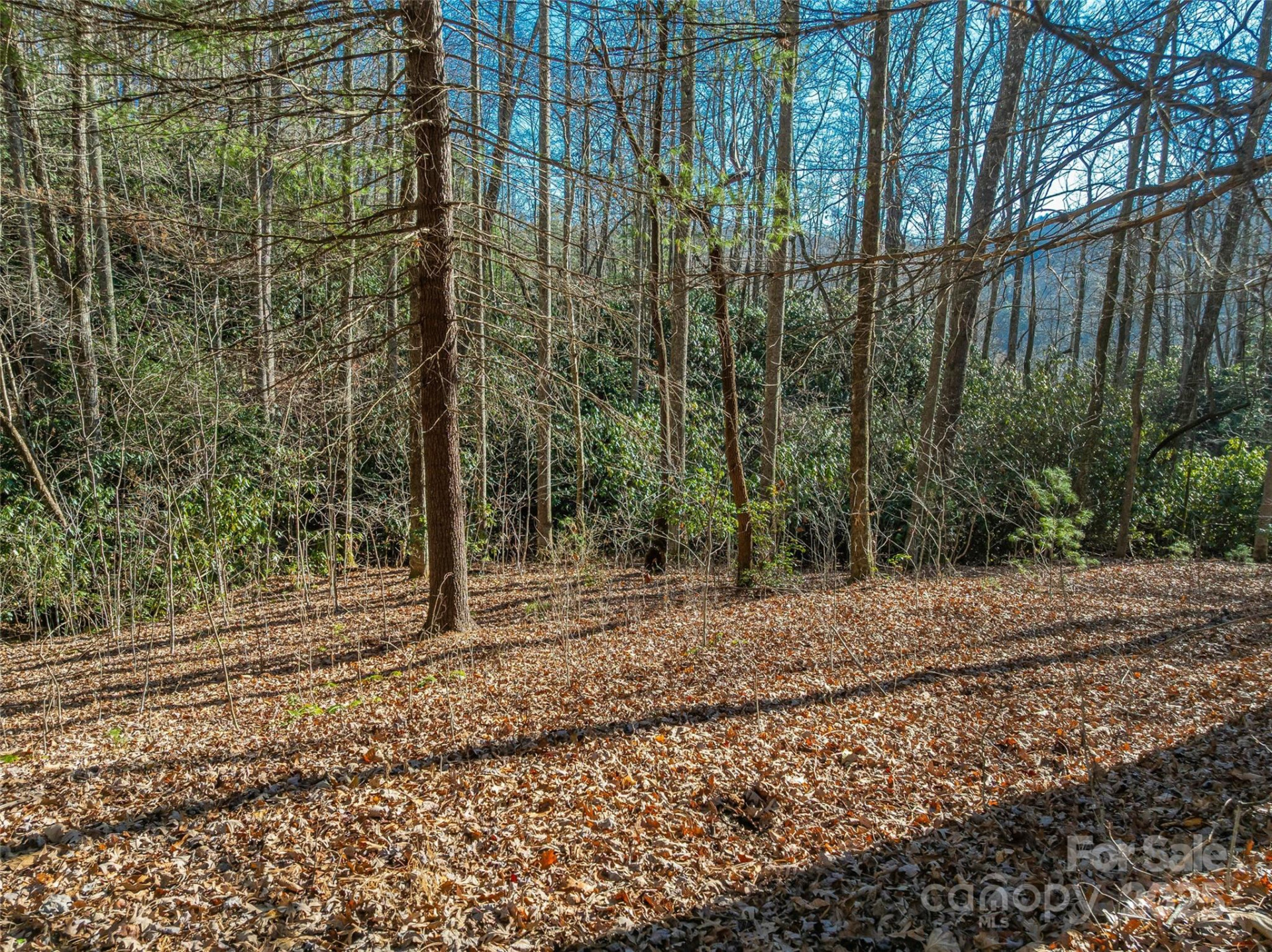 TBD Ladys Fern Trail #9 - Photo 9