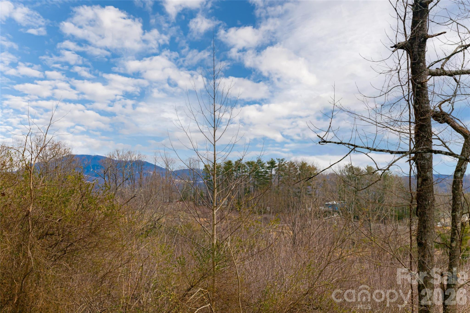 153 Hackleburg Lane - Photo 3