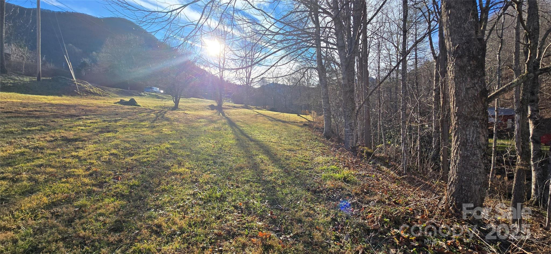 00 Black Camp Gap Road - Photo 11