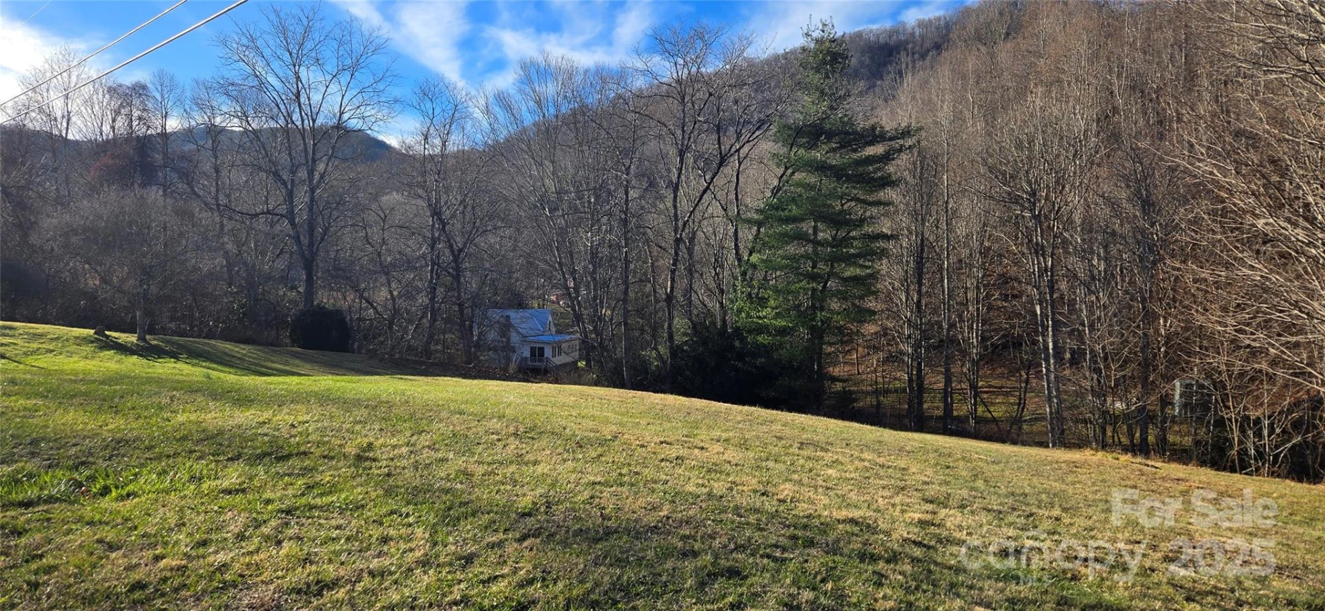 00 Black Camp Gap Road - Photo 7