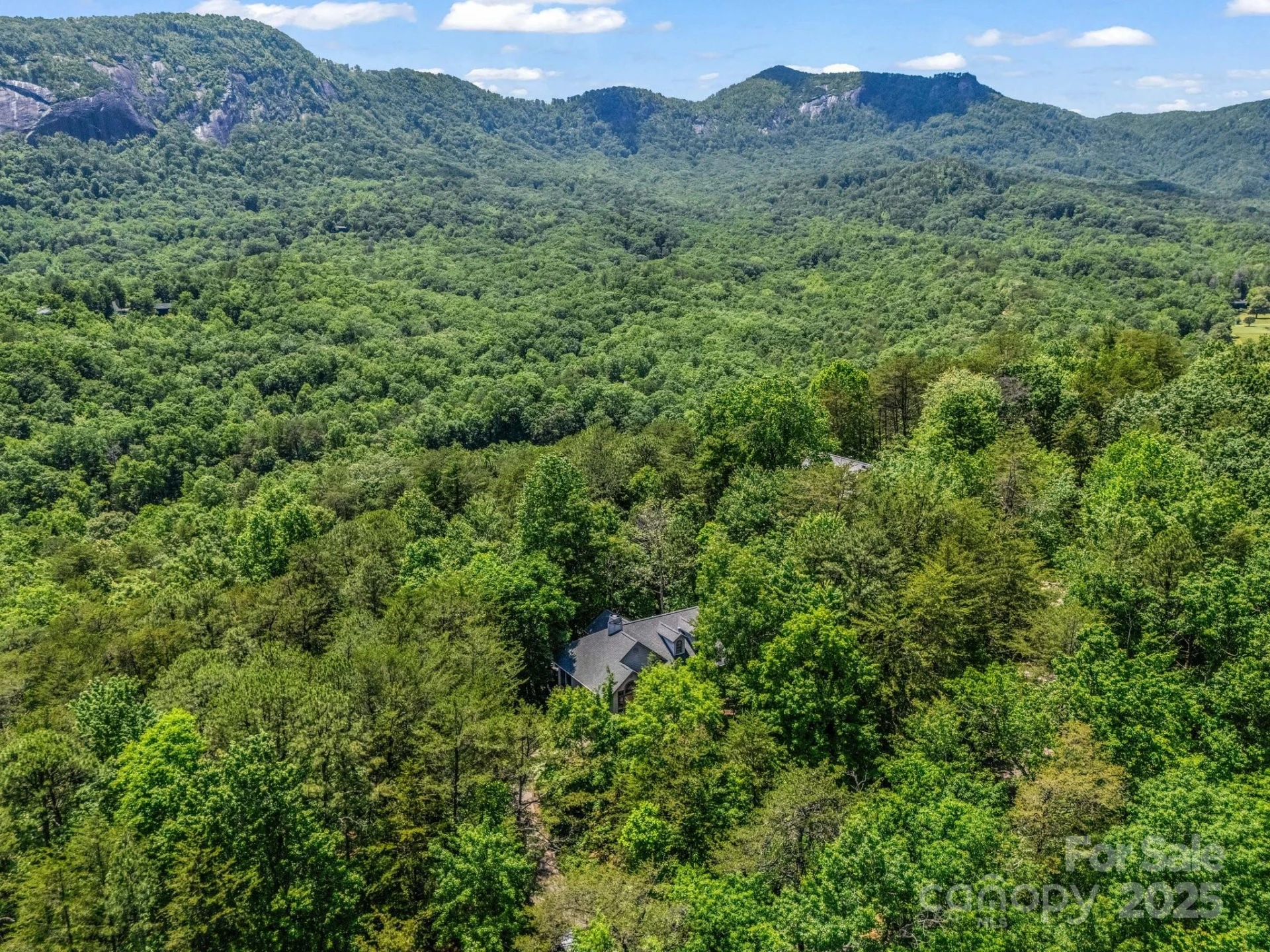 212 Ridgeway Road - Photo 15