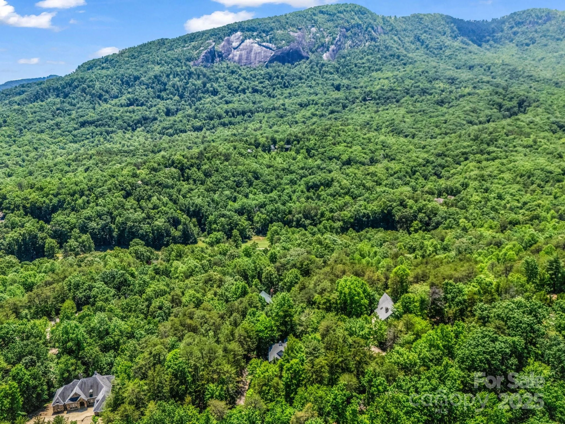 212 Ridgeway Road - Photo 45