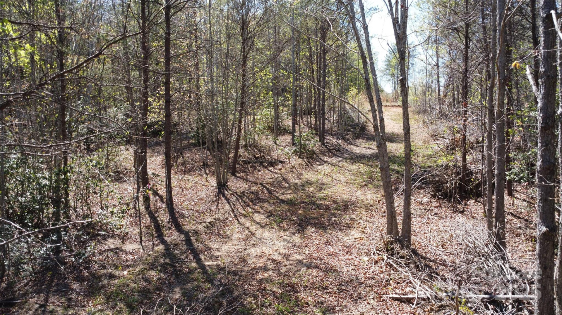 0 Snowhill Church Road - Photo 12