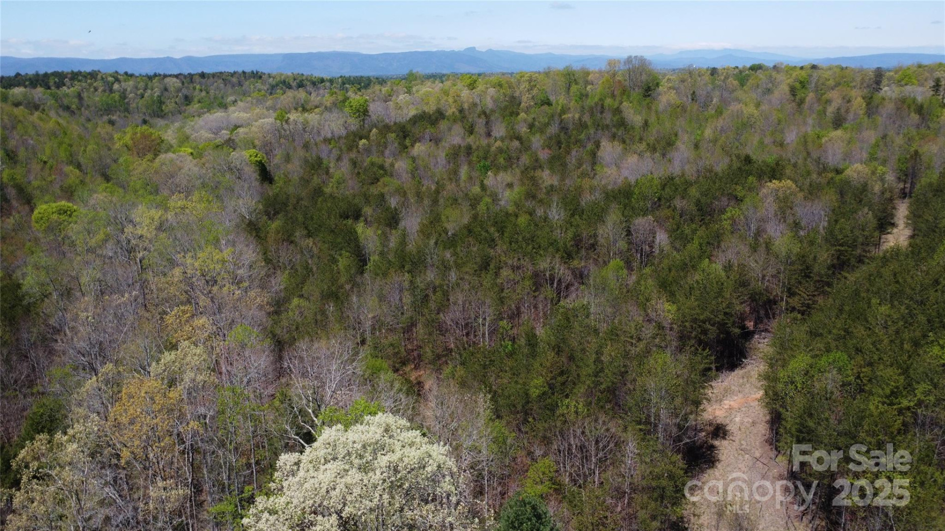 0 Snowhill Church Road - Photo 14