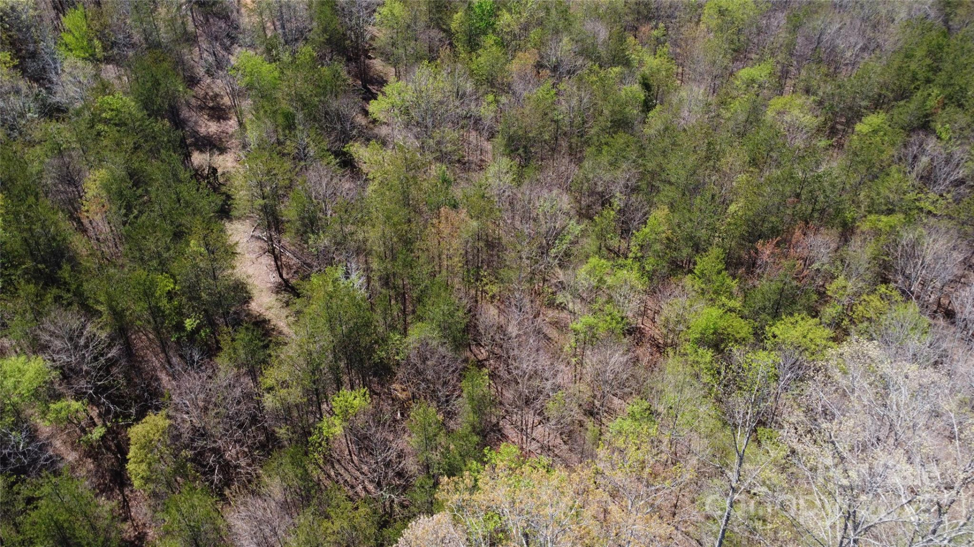 0 Snowhill Church Road - Photo 16