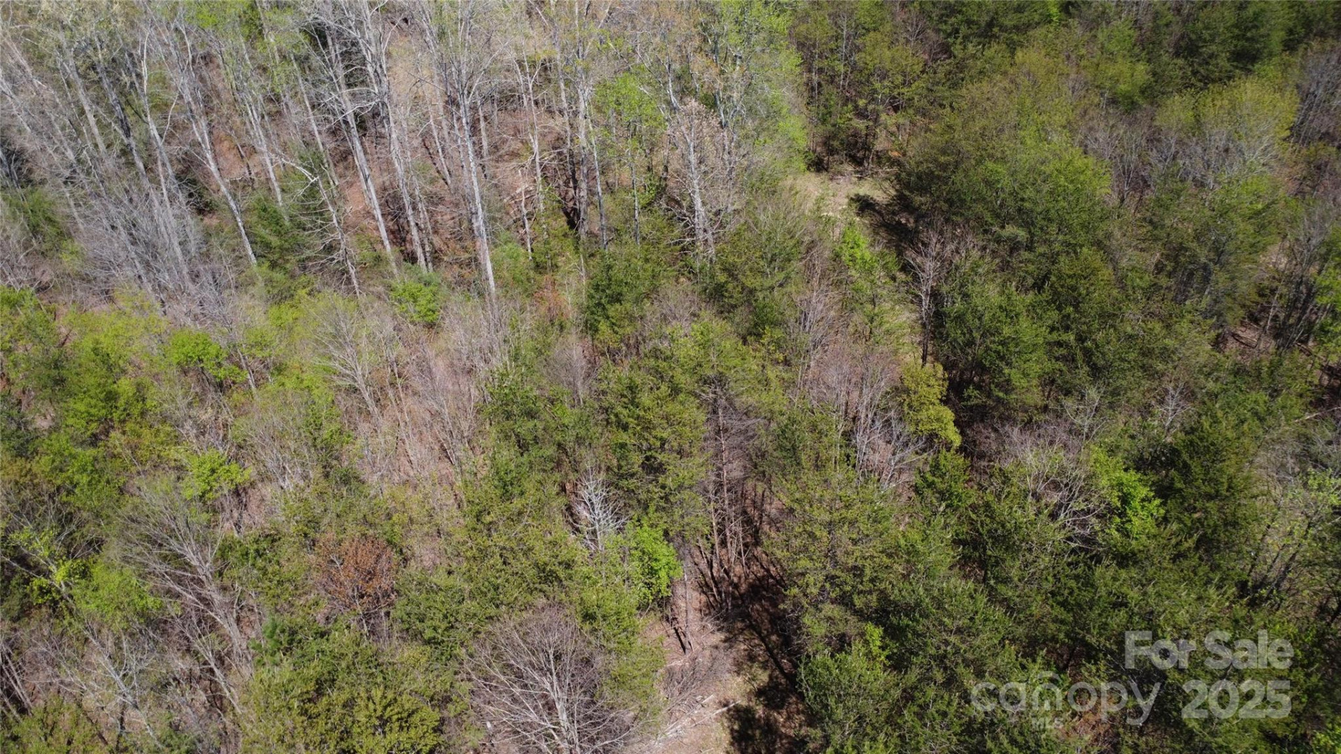 0 Snowhill Church Road - Photo 19