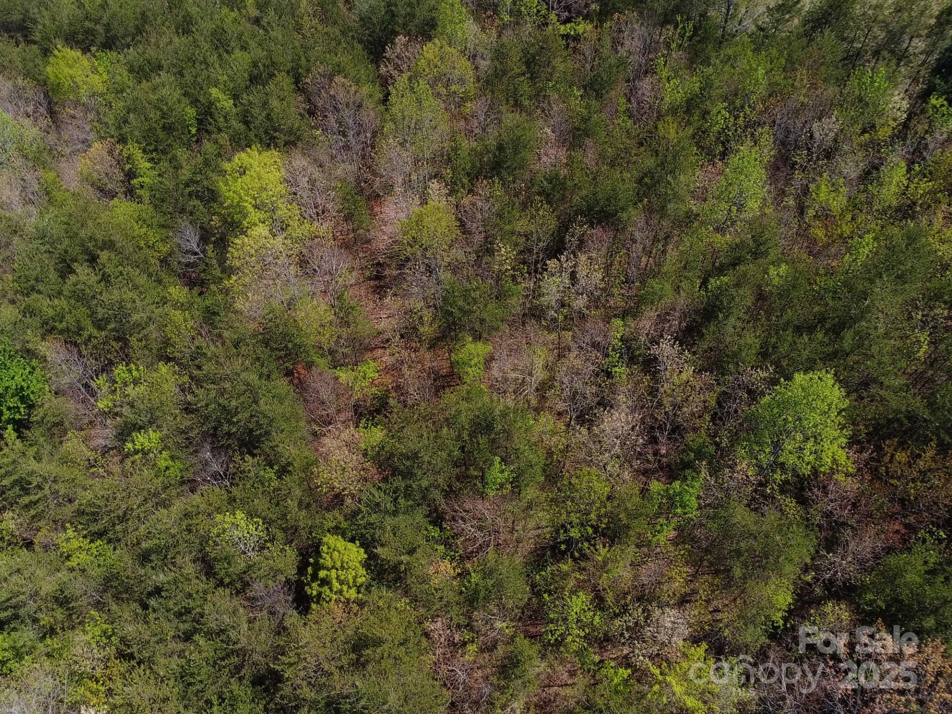 0 Snowhill Church Road - Photo 25