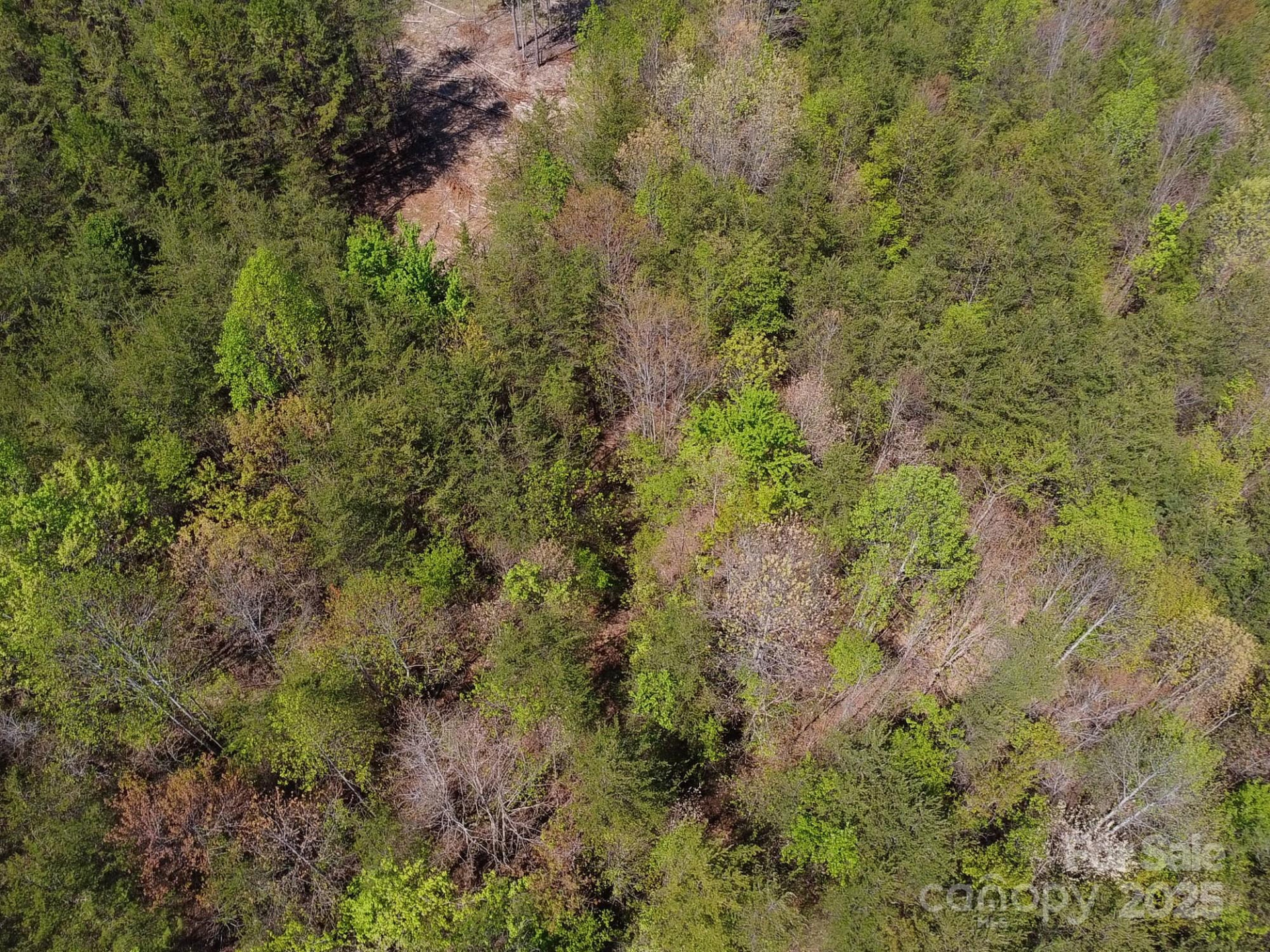 0 Snowhill Church Road - Photo 34