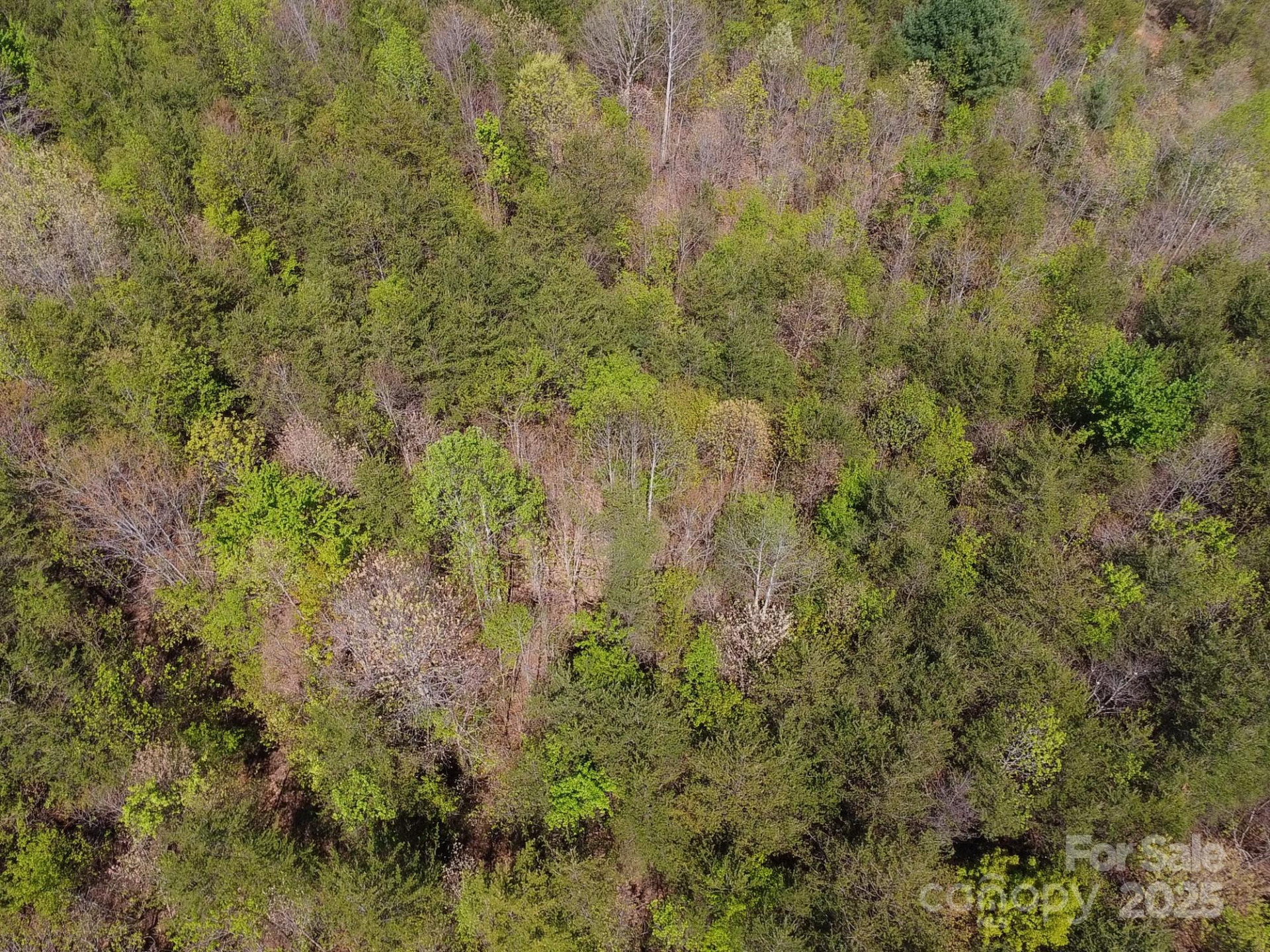 0 Snowhill Church Road - Photo 37