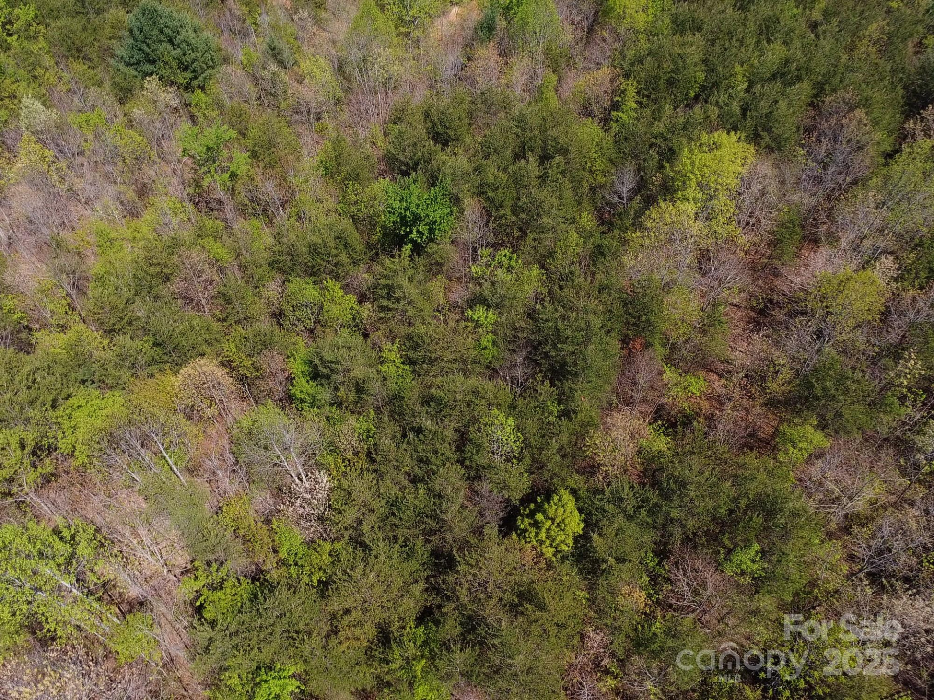 0 Snowhill Church Road - Photo 39