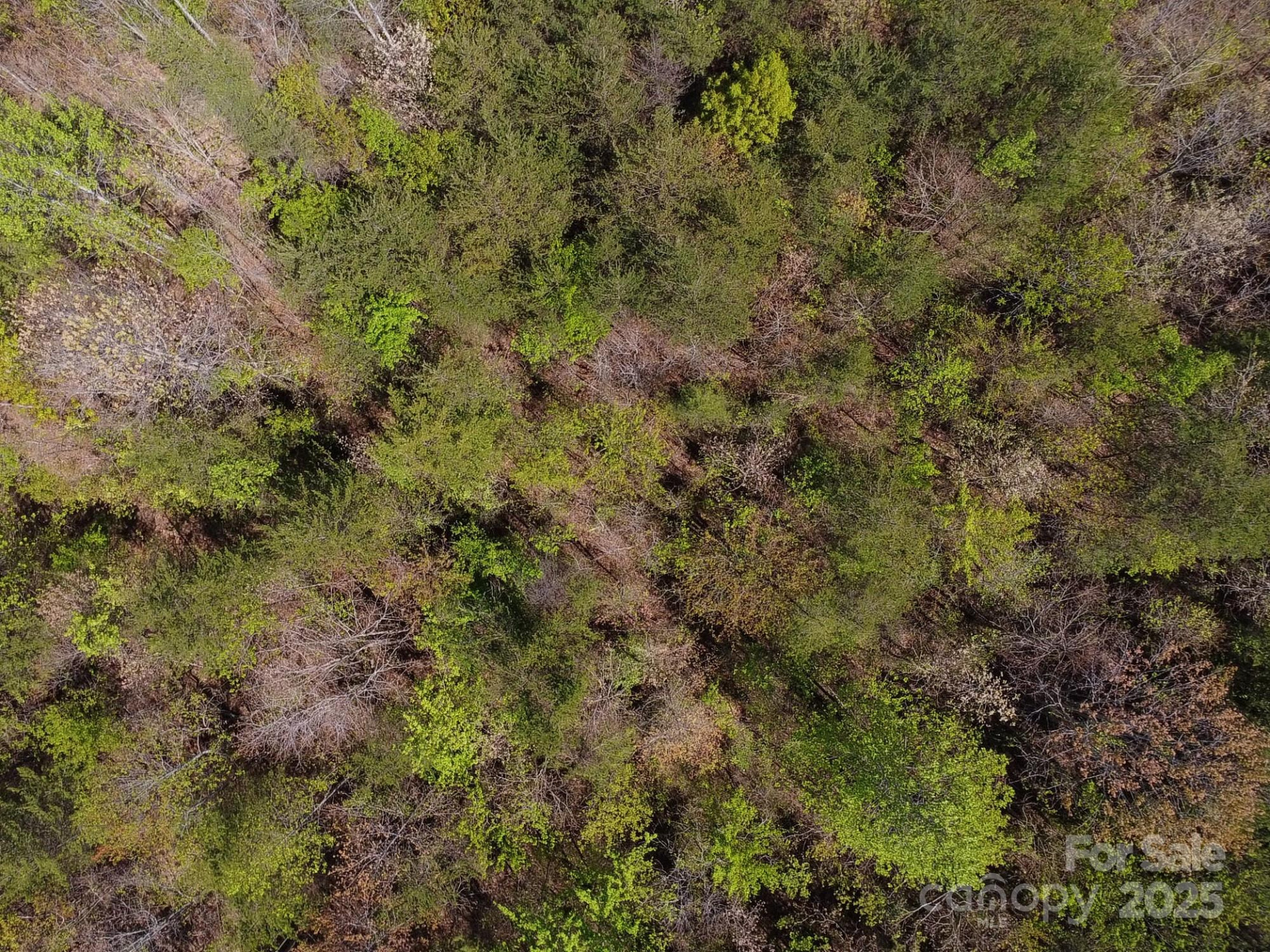 0 Snowhill Church Road - Photo 40