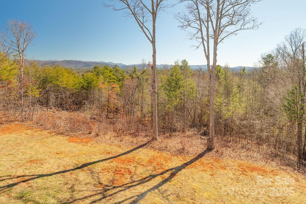 61 Buckle Ridge - Photo 36