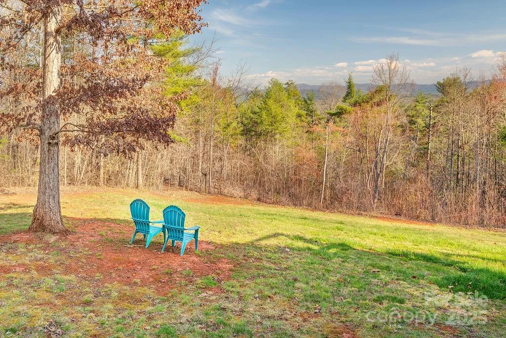 61 Buckle Ridge - Photo 42