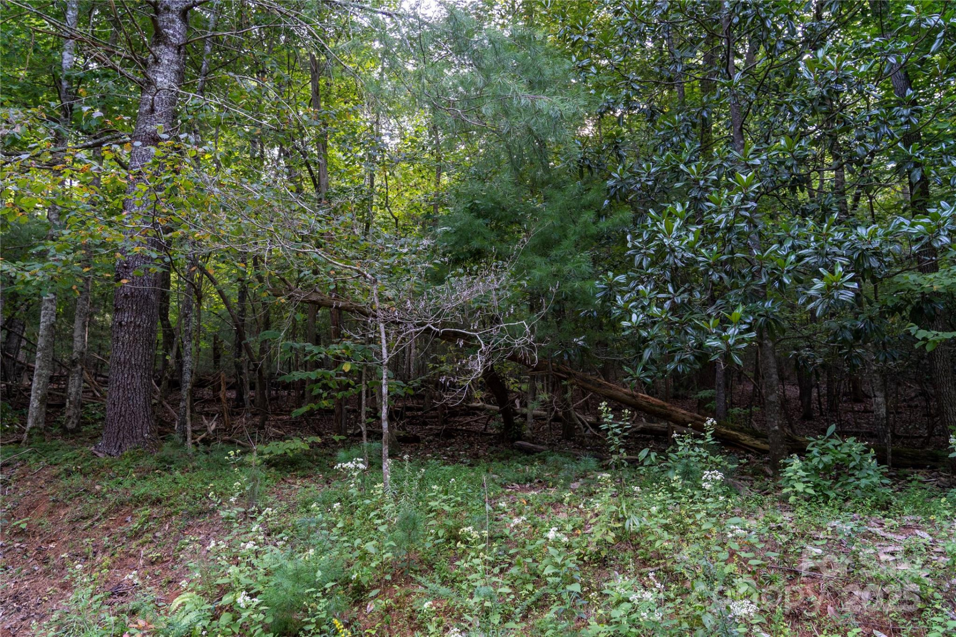 0 Swans Way #249&250