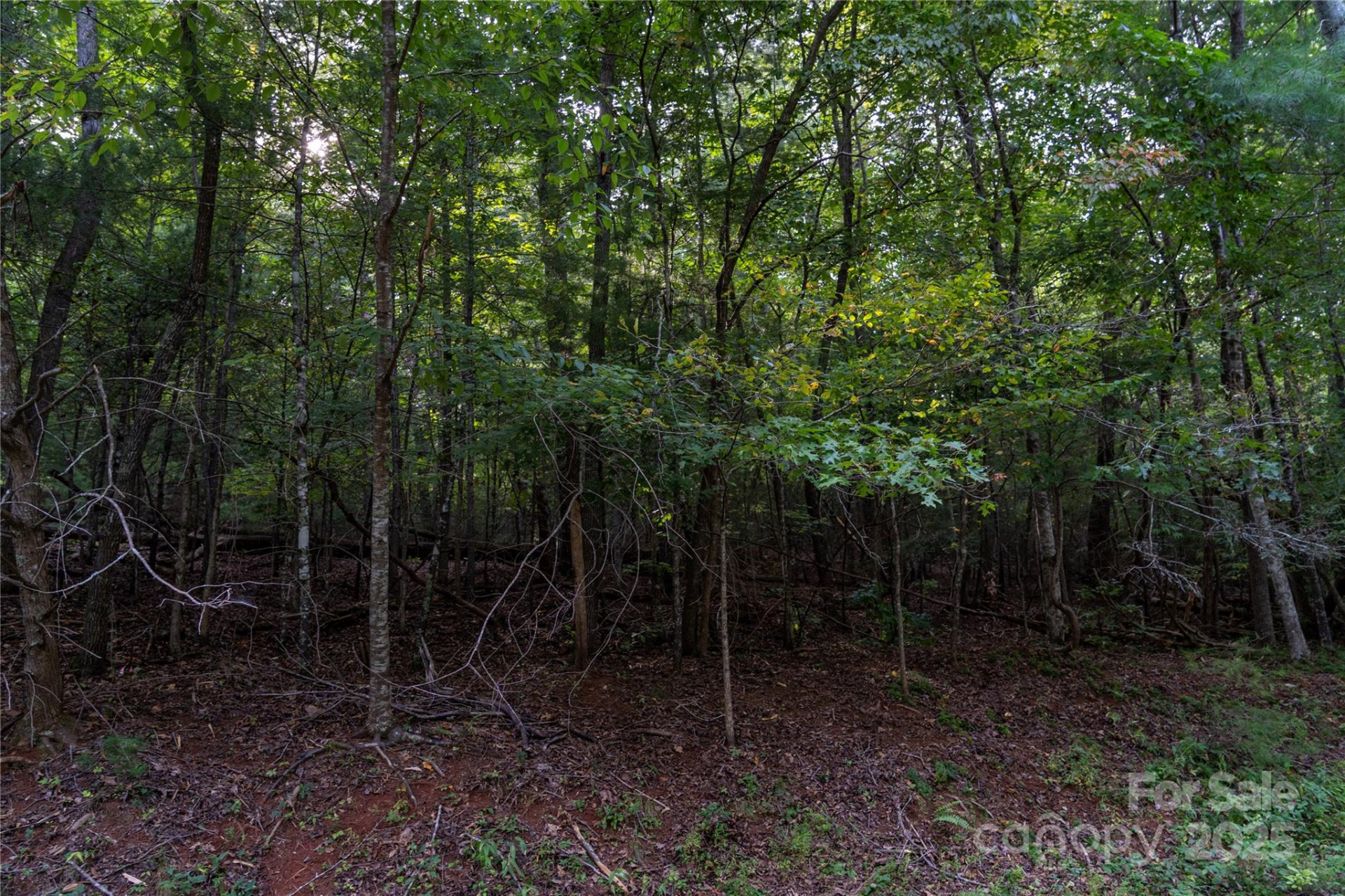 0 Swans Way #249&250 - Photo 2