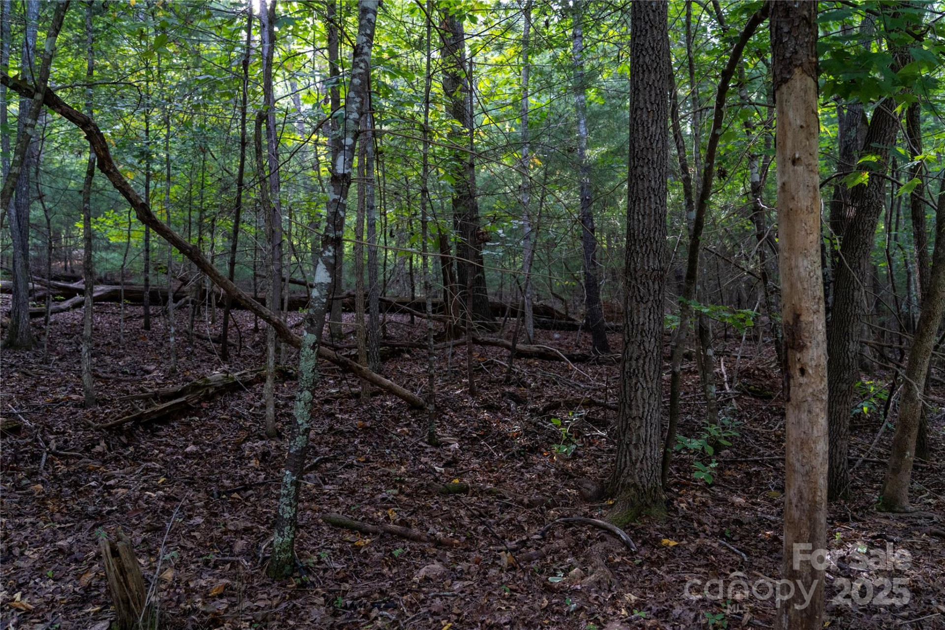 0 Swans Way #249&250 - Photo 3