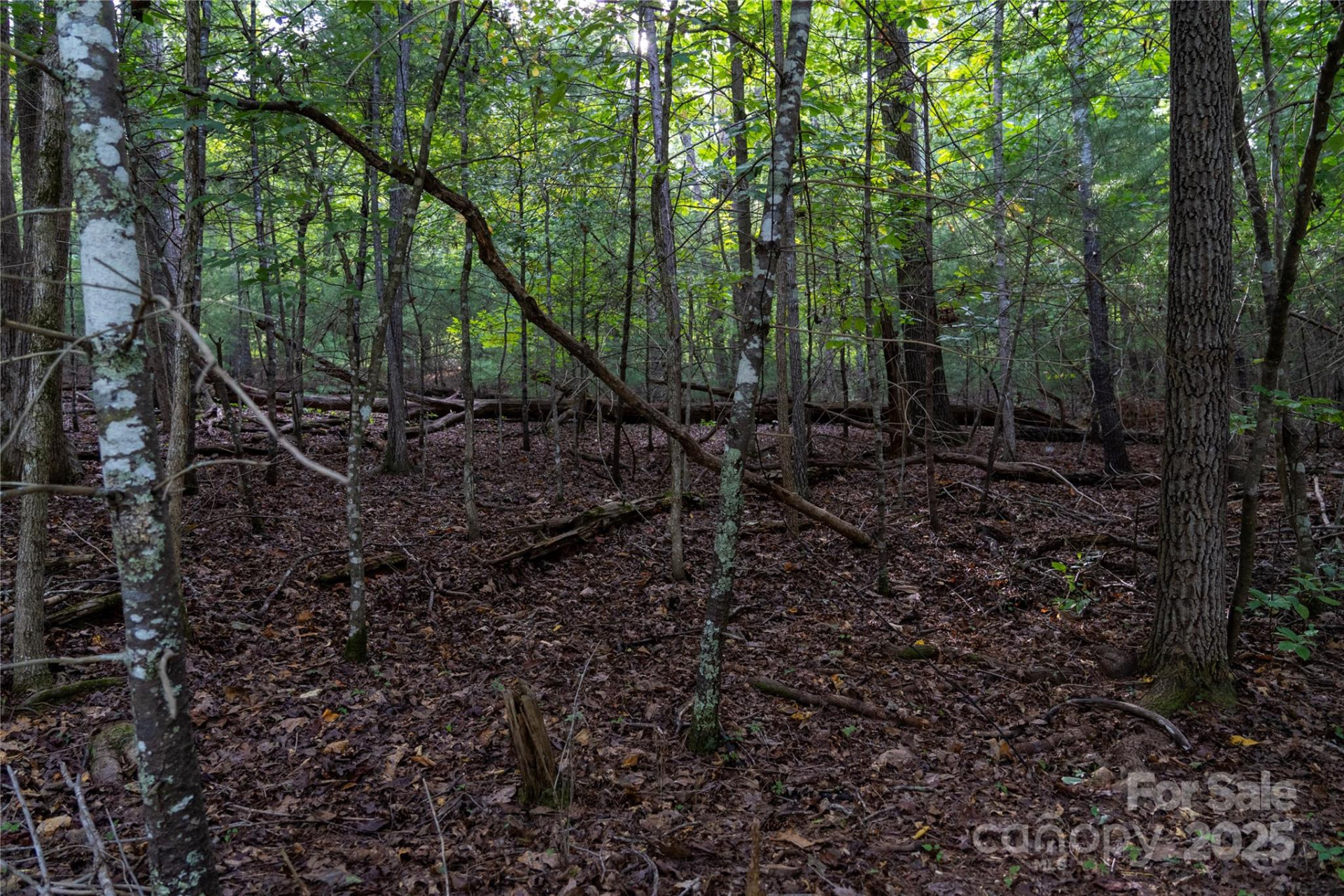 0 Swans Way #249&250 - Photo 4