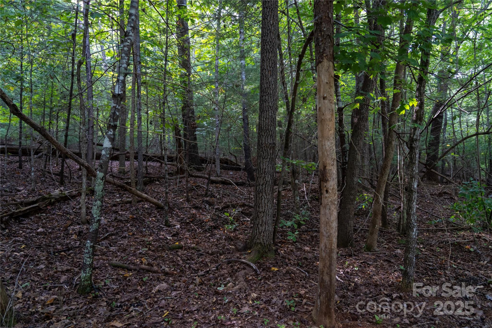 0 Swans Way #249&250 - Photo 5