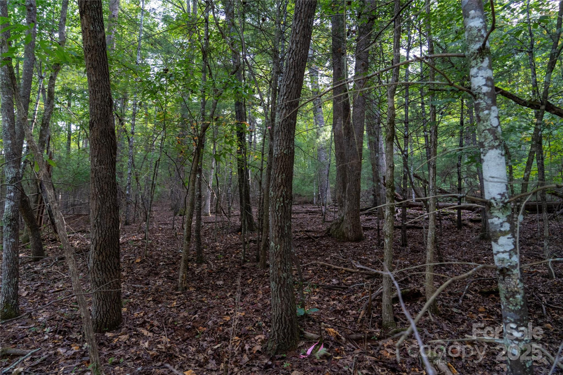 0 Swans Way #249&250 - Photo 6