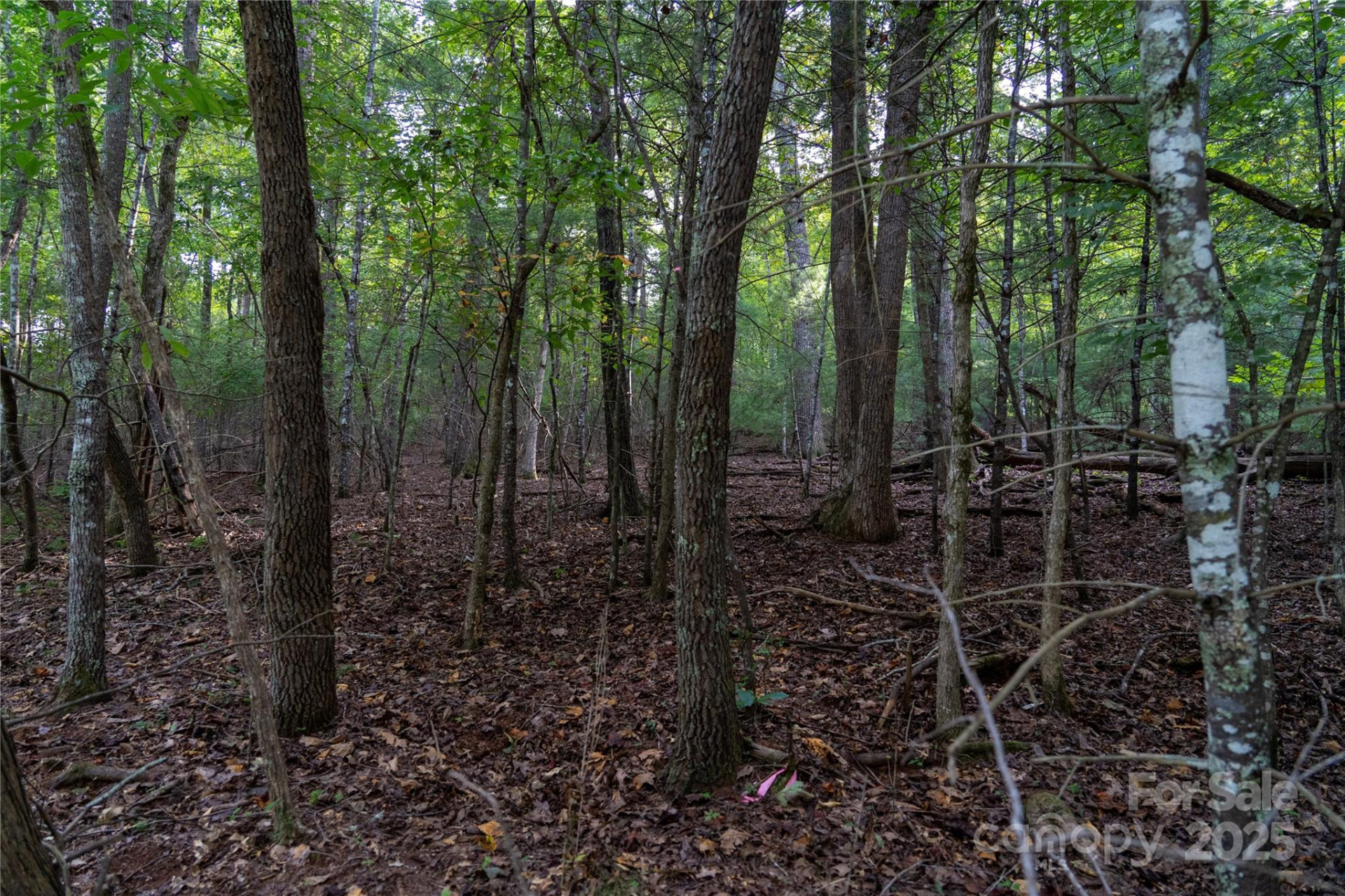 0 Swans Way #249&250 - Photo 7