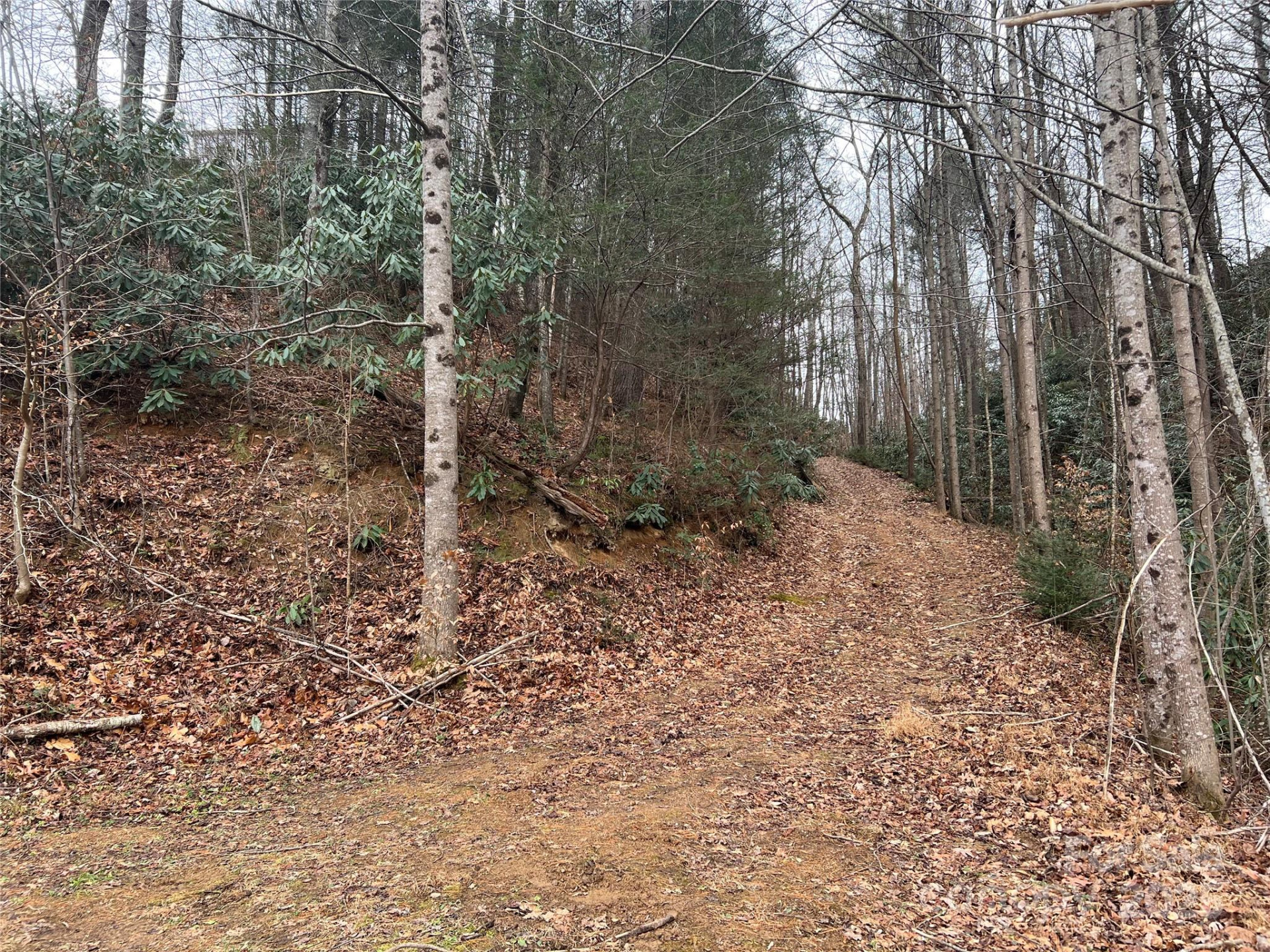 00 Lakeside Drive #29 - Photo 13