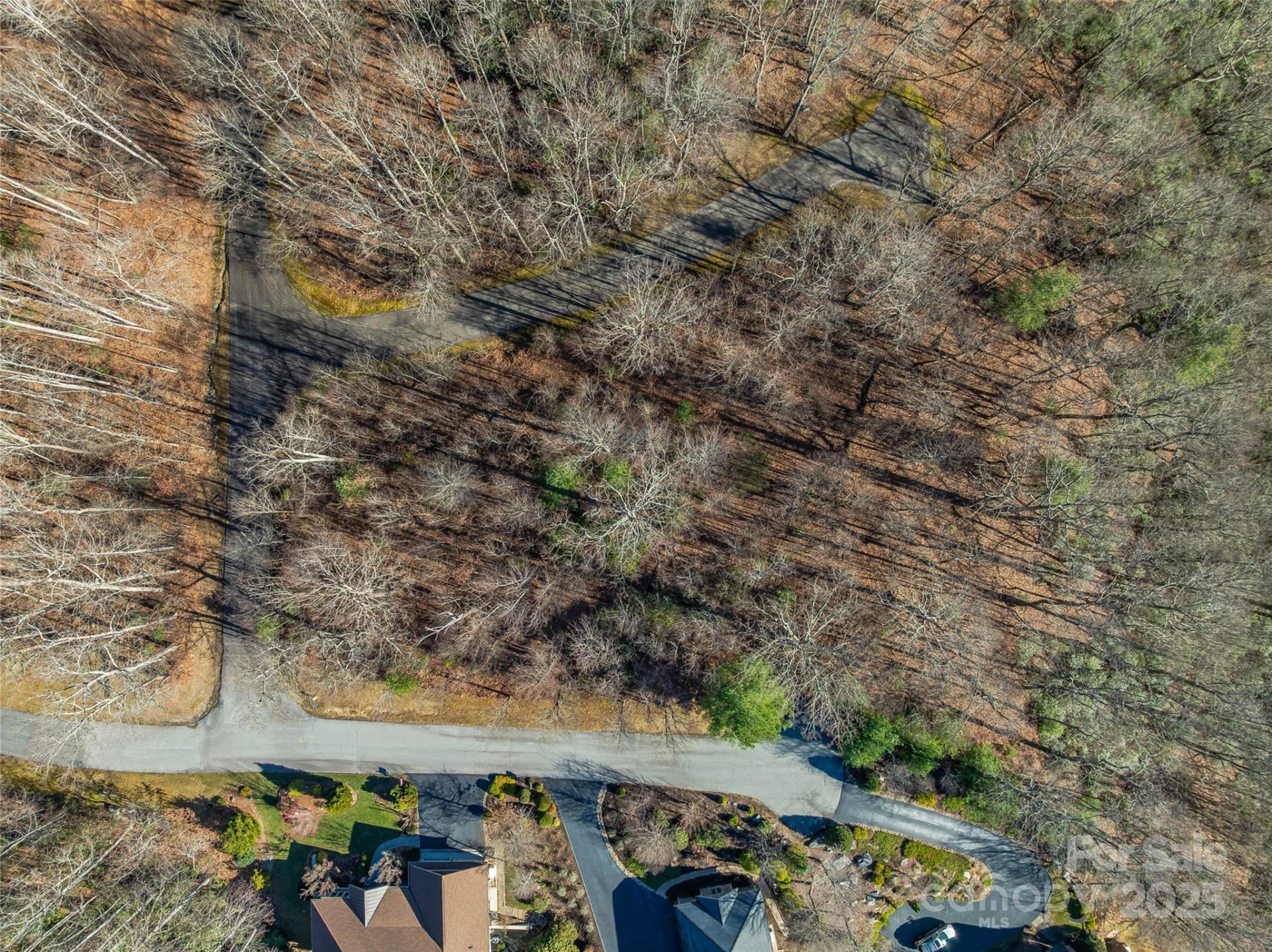 211 Ladys Fern Trail - Photo 2