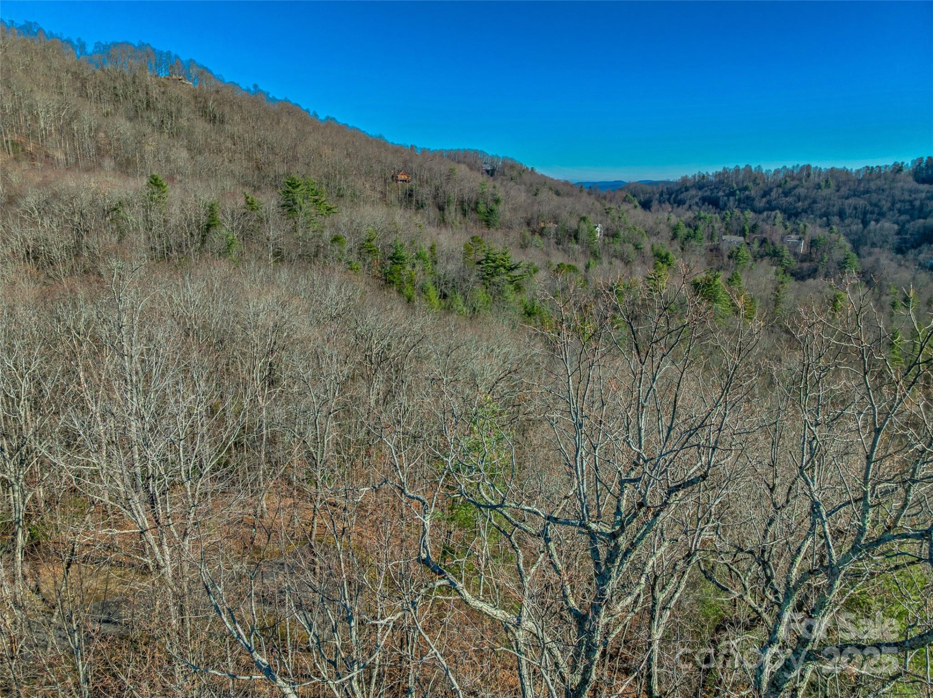 211 Ladys Fern Trail - Photo 12